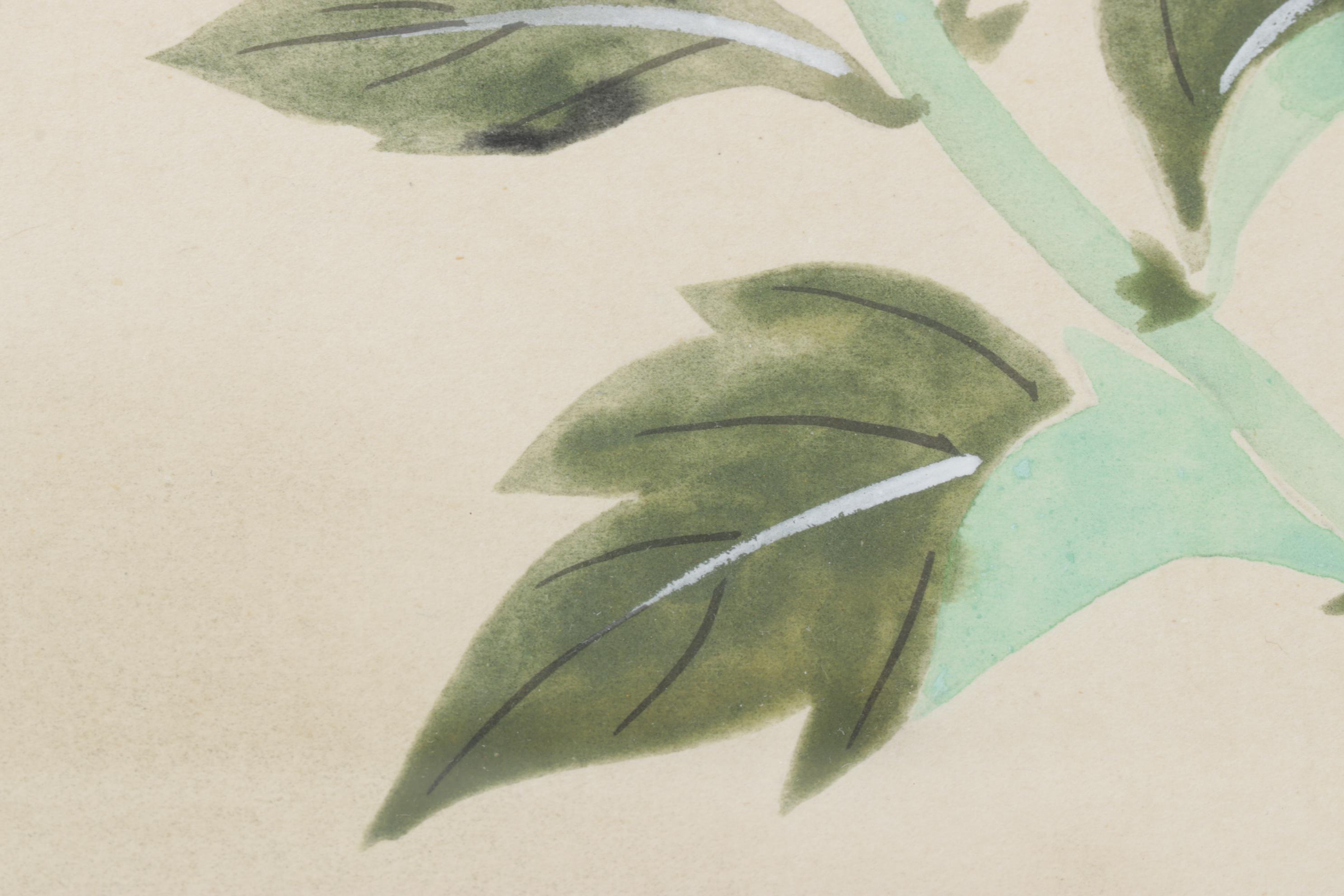 Japanese Gouache & Ink Illustration of Chrysanthemum