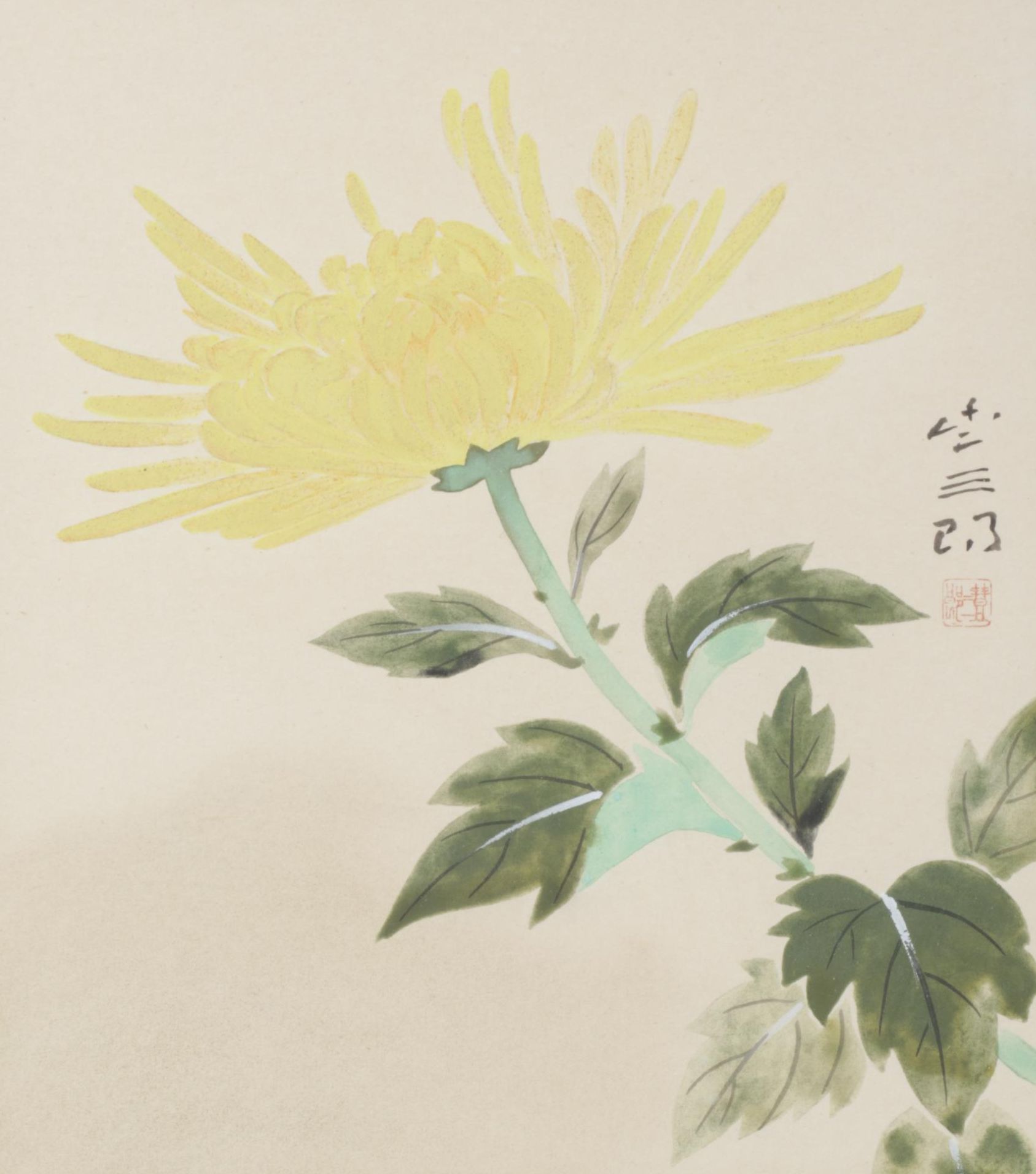 Japanese Gouache & Ink Illustration of Chrysanthemum