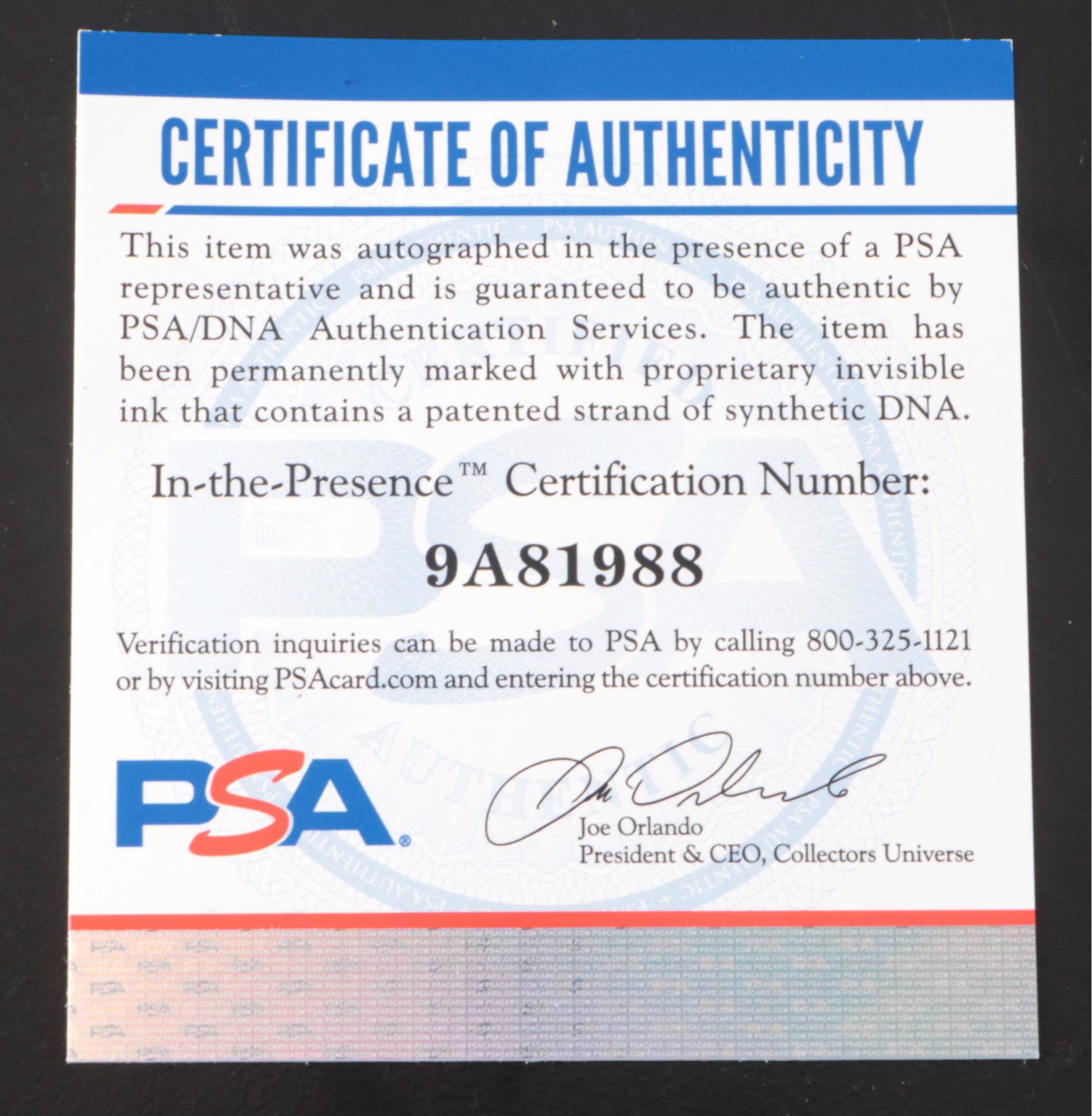 Steve Sax Signed Los Angeles Dodgers Baseball Jersey, PSA