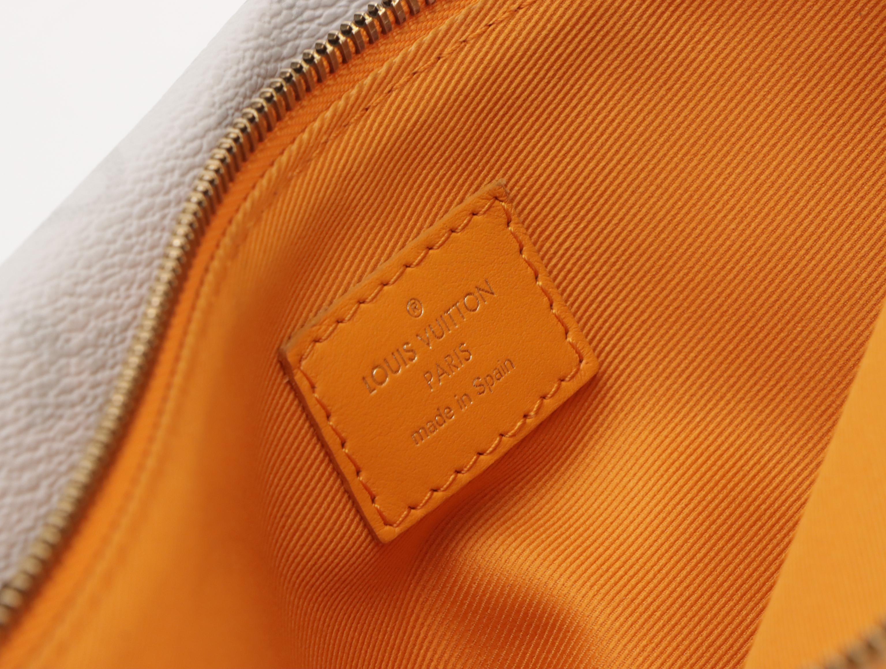 Louis Vuitton Monogram Antarctica Double Flat Messenger Crossbody Bag