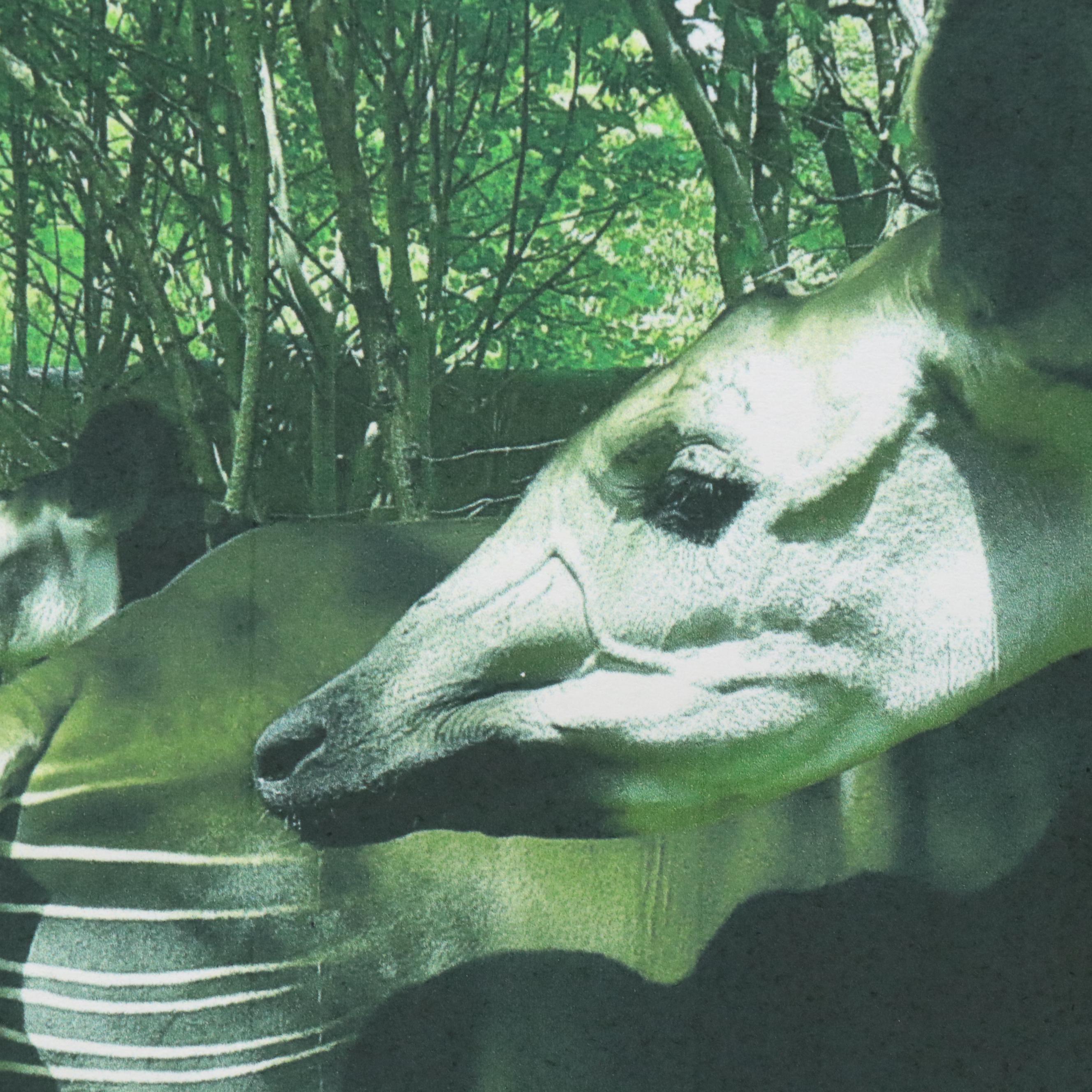 Cincinnati Zoo Rumps for Refuge Okapi Stamped Acrylic Painting, 2022