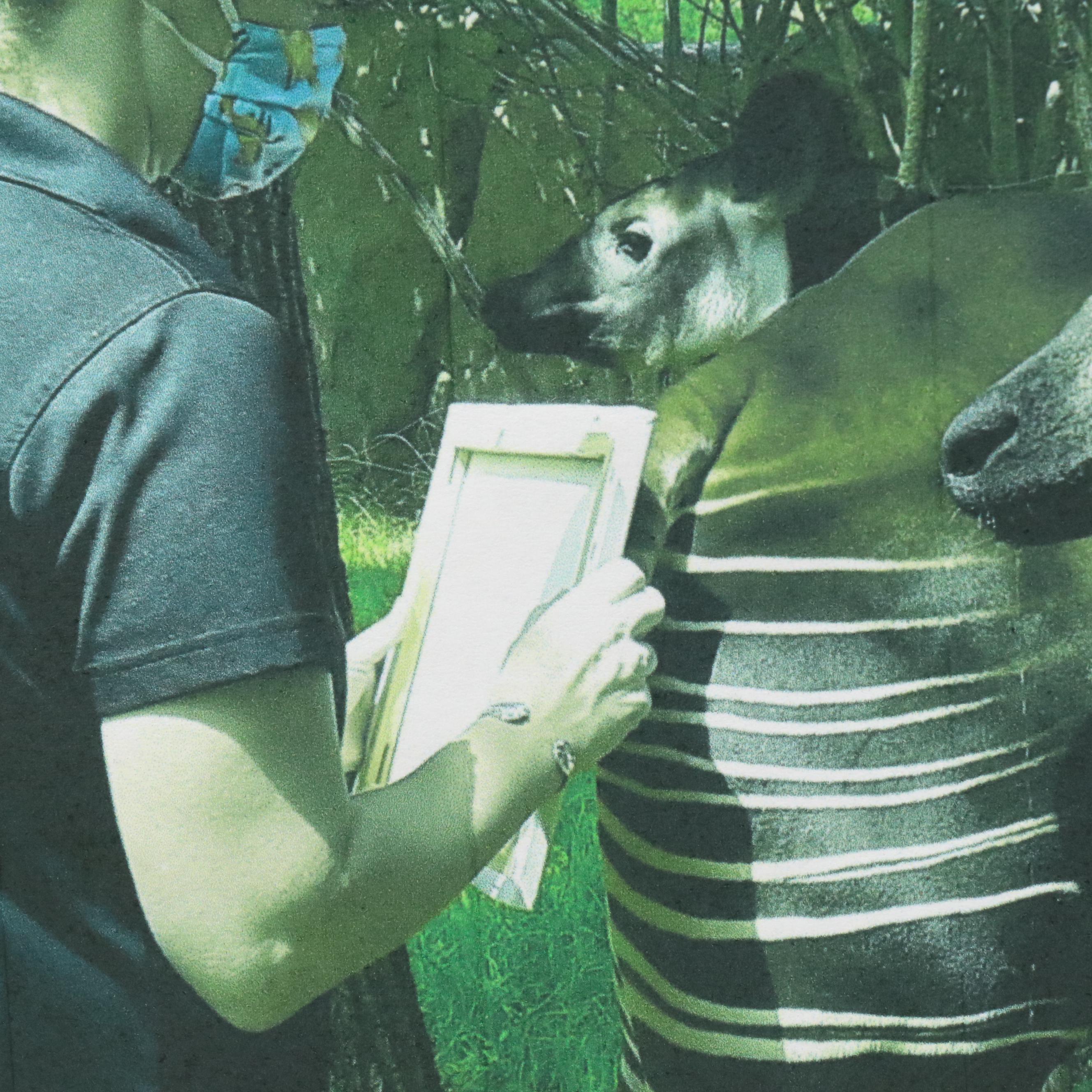 Cincinnati Zoo Rumps for Refuge Okapi Stamped Acrylic Painting, 2022