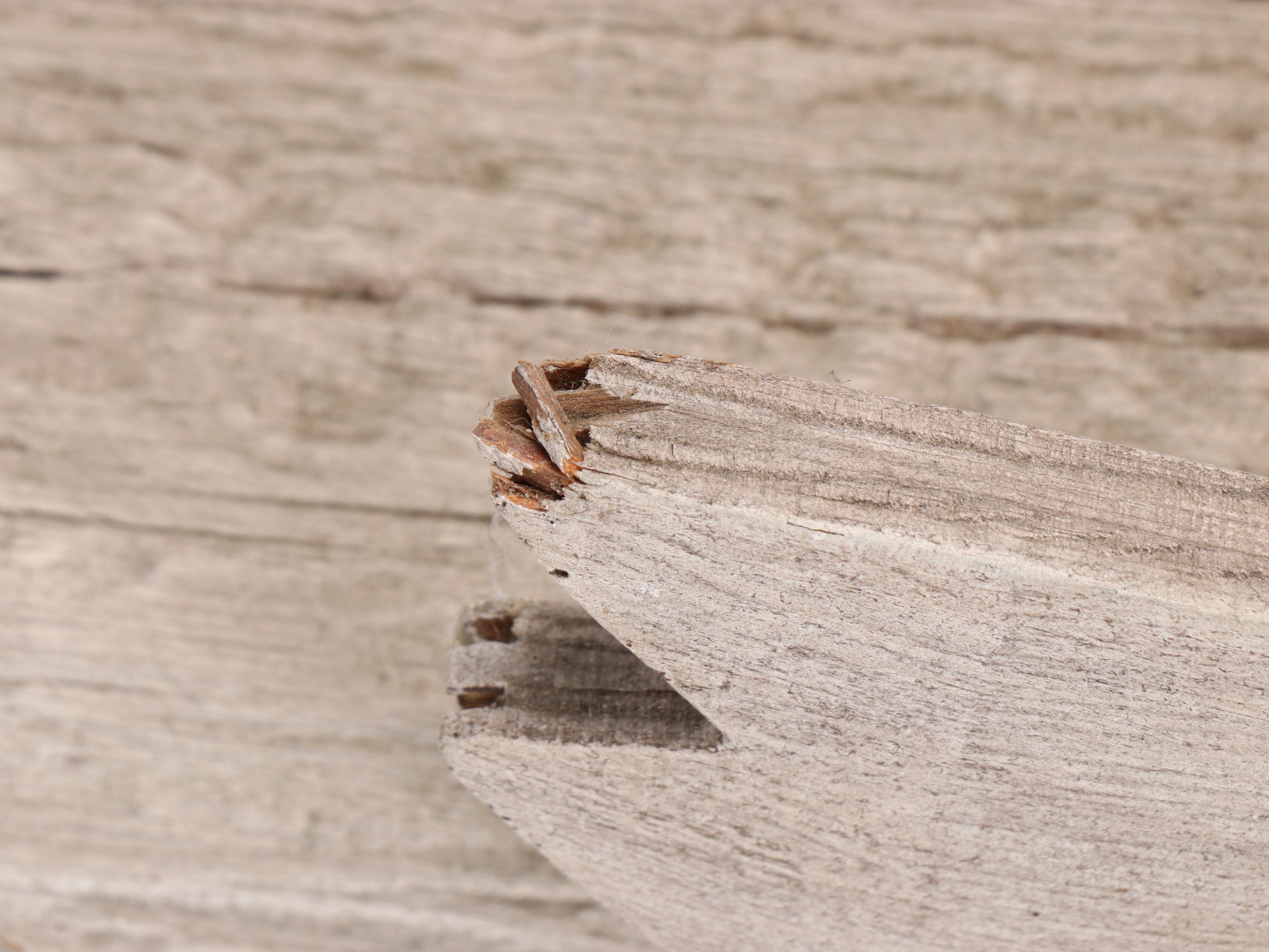 Wooden Carved Geese with Miniature Artificial Wreaths