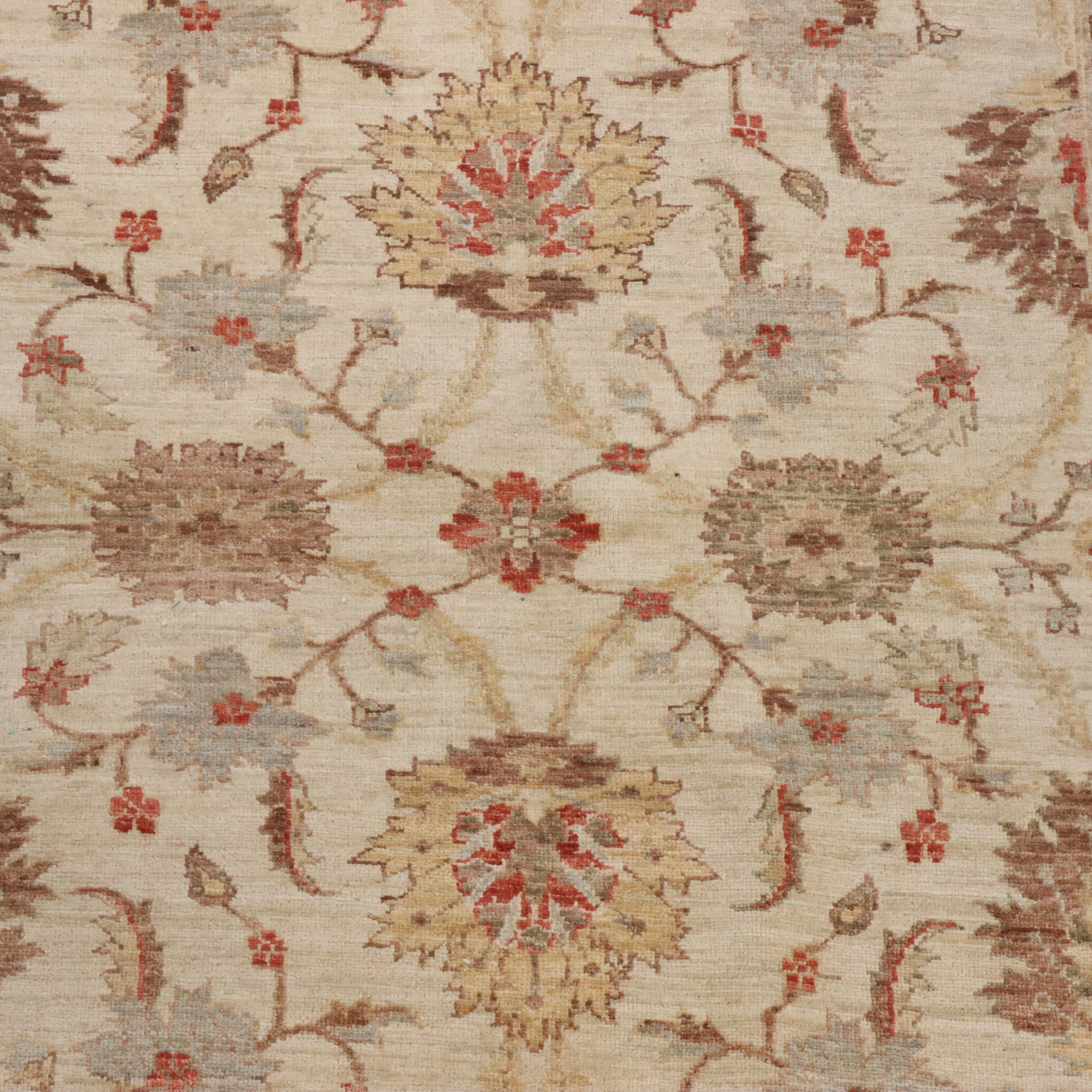 4' x 4'8 Hand-Knotted Indian Jaipur Area Rug