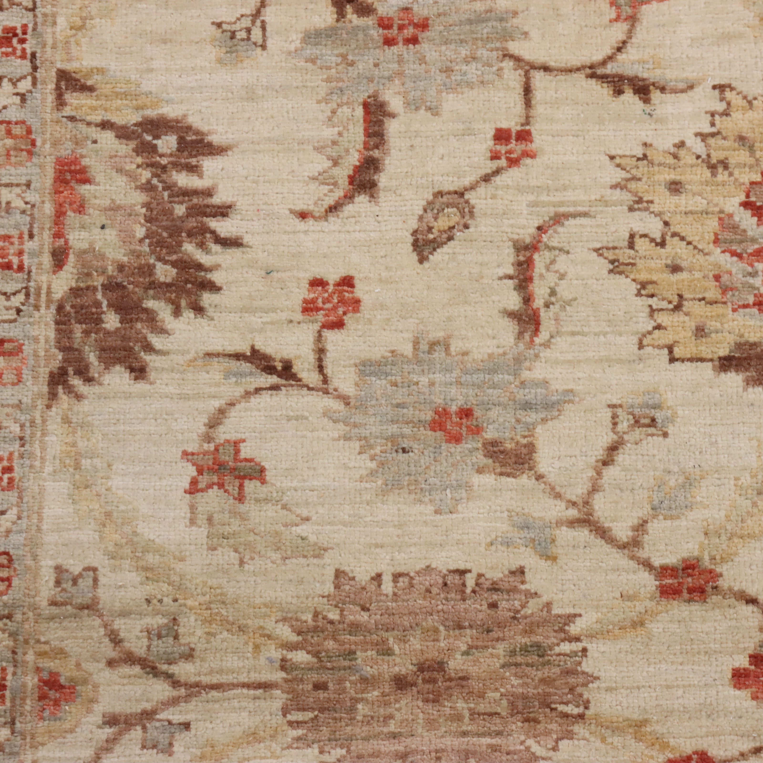 4' x 4'8 Hand-Knotted Indian Jaipur Area Rug