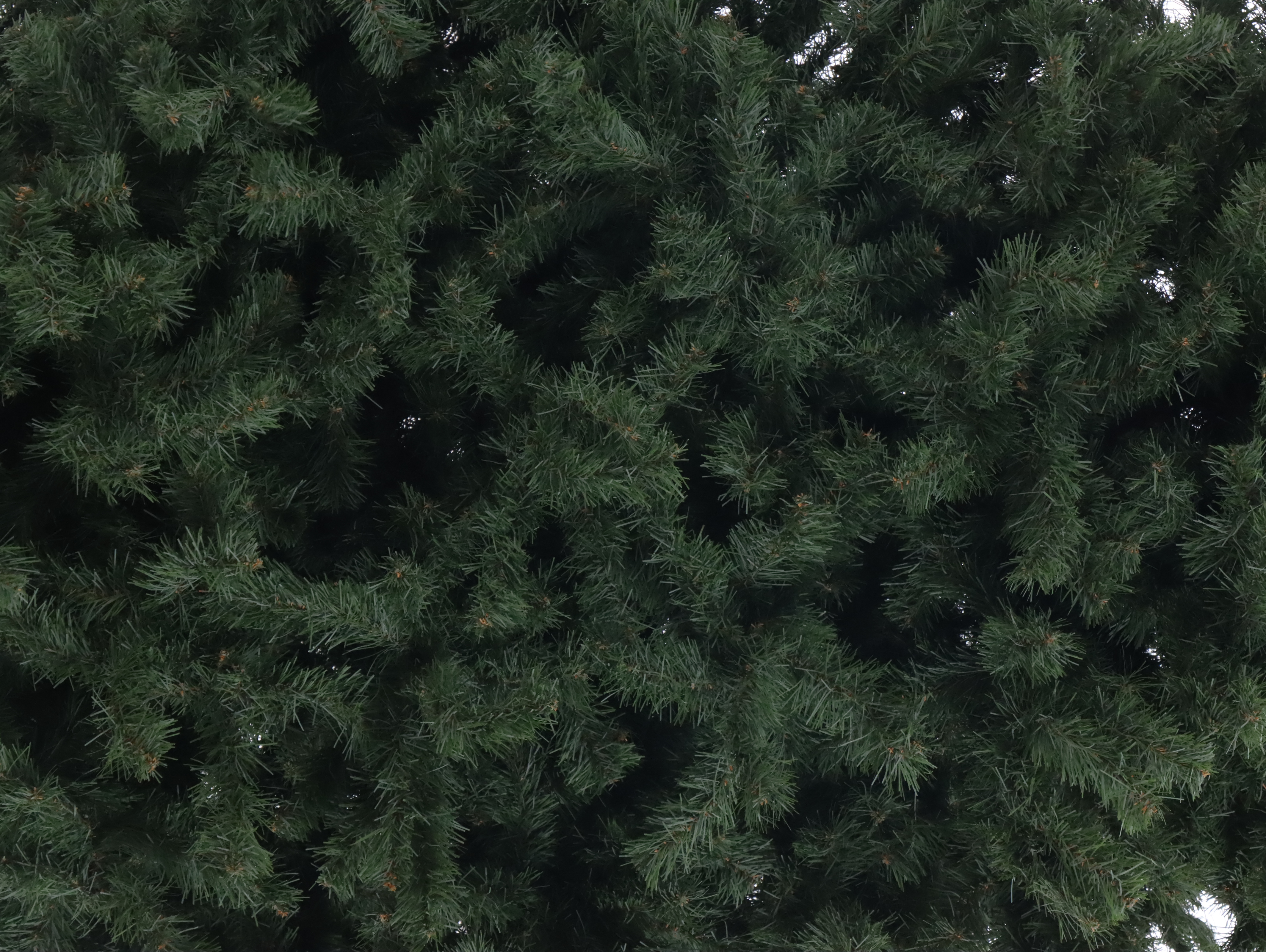 8' Artificial Christmas Tree with Decorative Present Collection