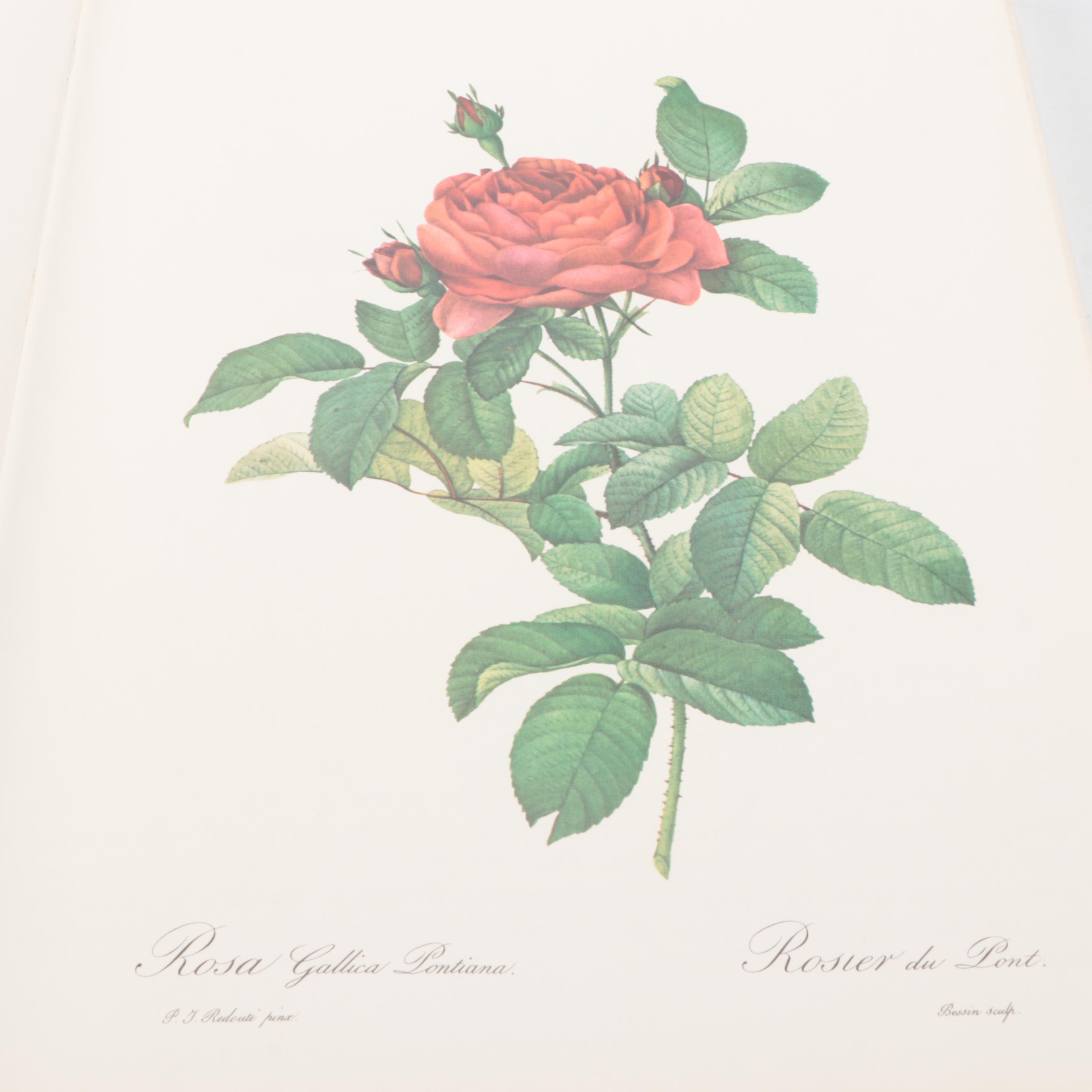 Illustrated "Roses" by Pierre-Joseph Redouté, 1978