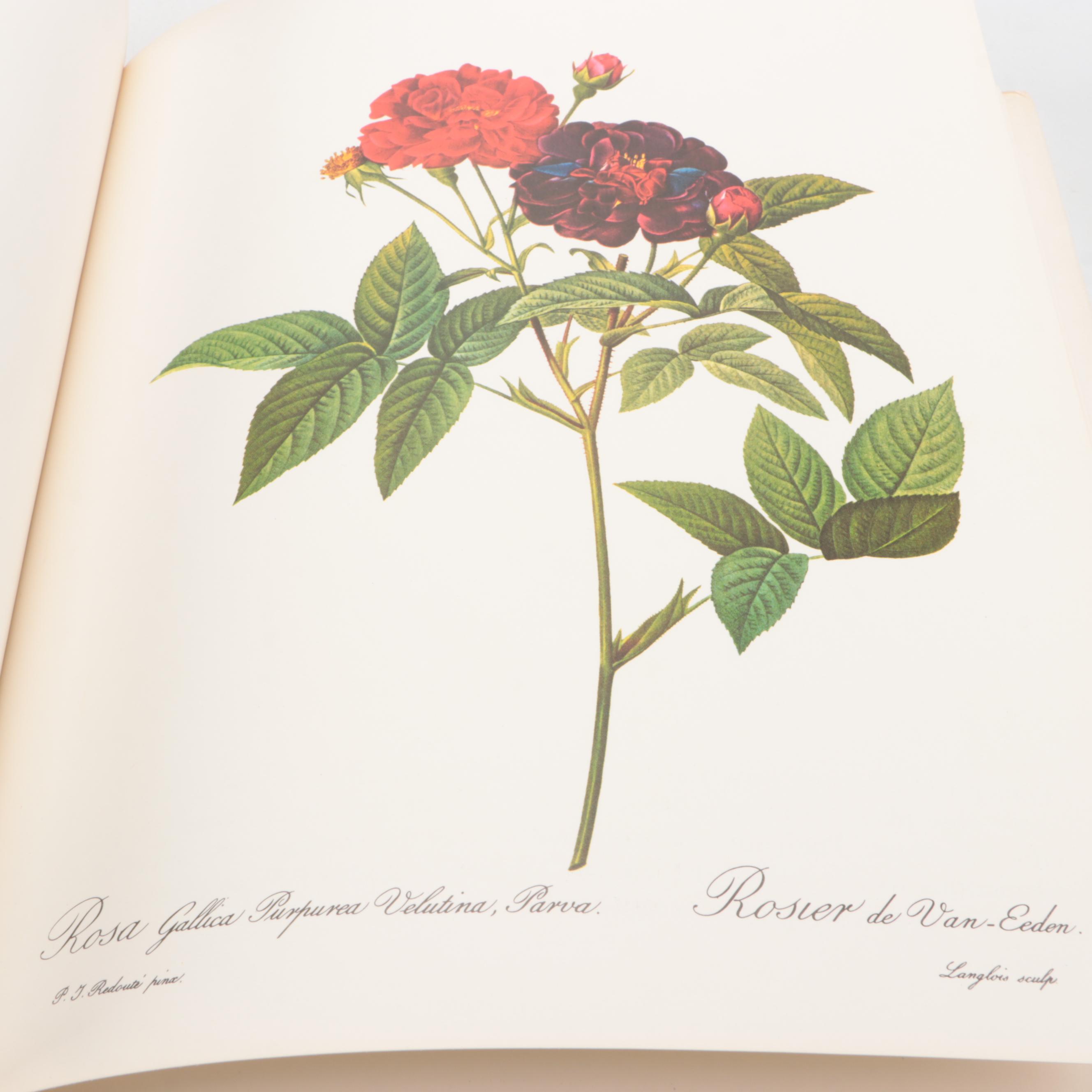 Illustrated "Roses" by Pierre-Joseph Redouté, 1978