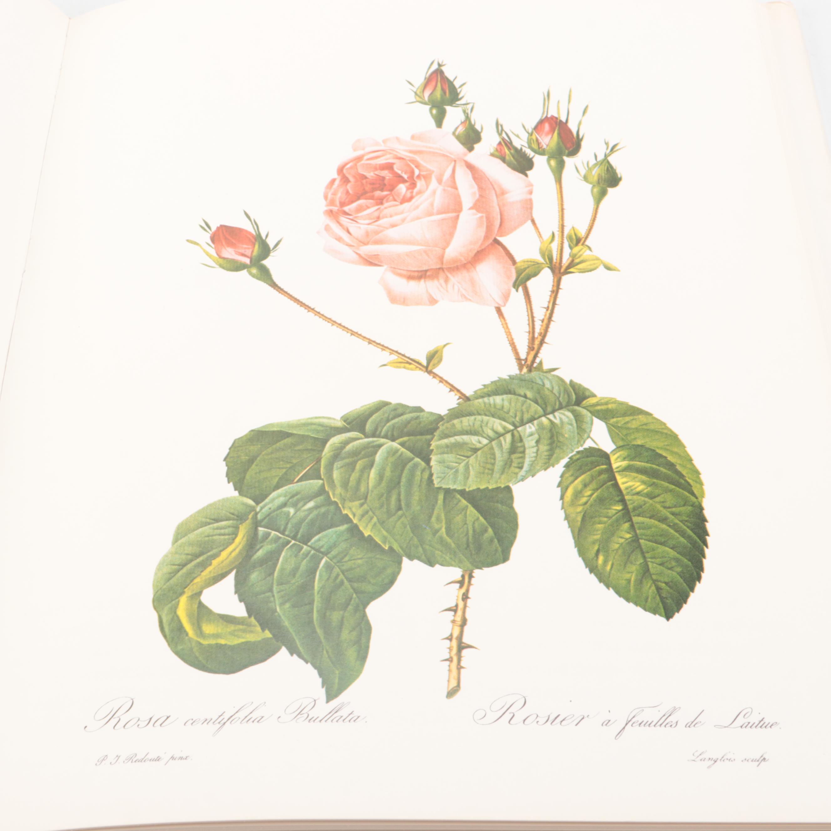 Illustrated "Roses" by Pierre-Joseph Redouté, 1978