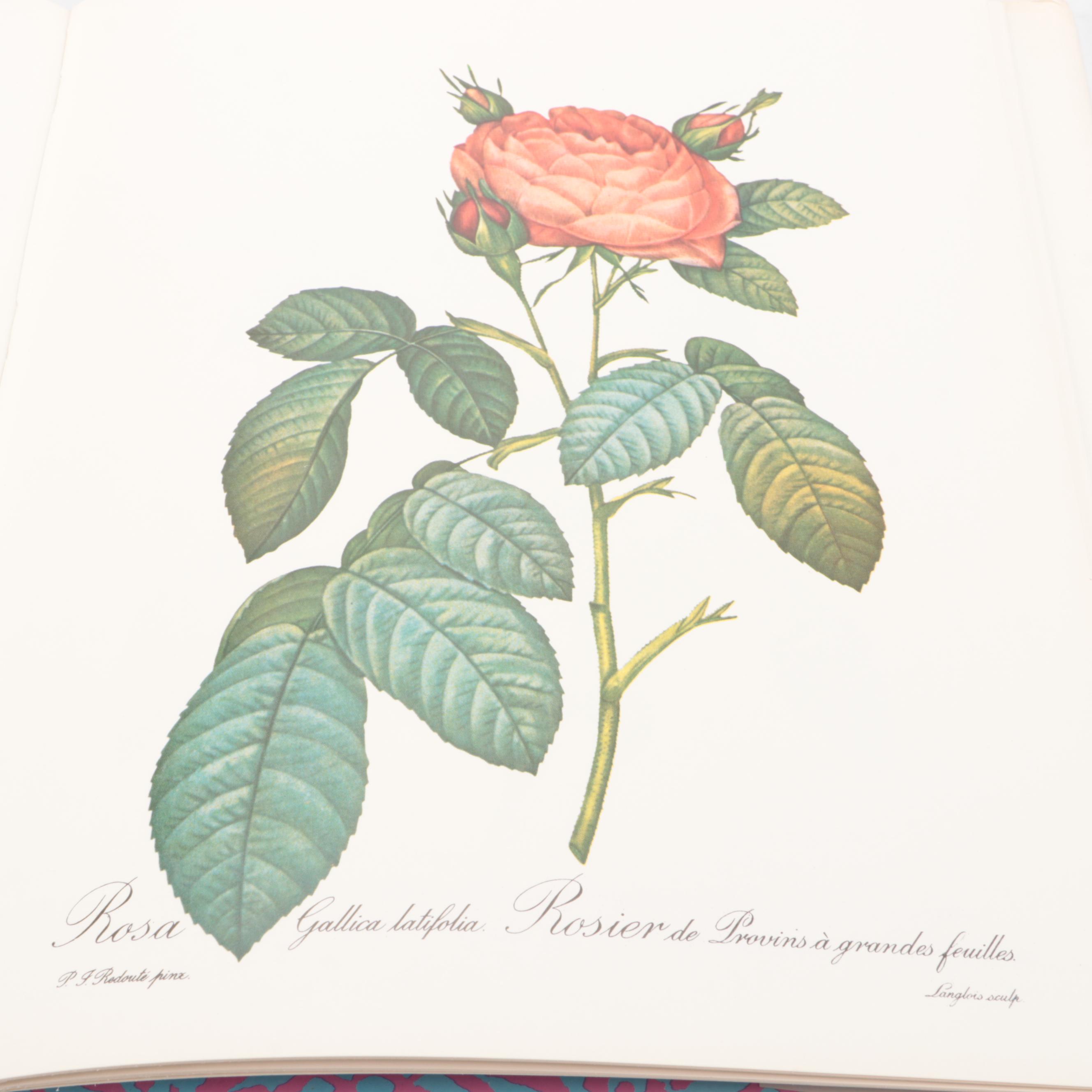 Illustrated "Roses" by Pierre-Joseph Redouté, 1978