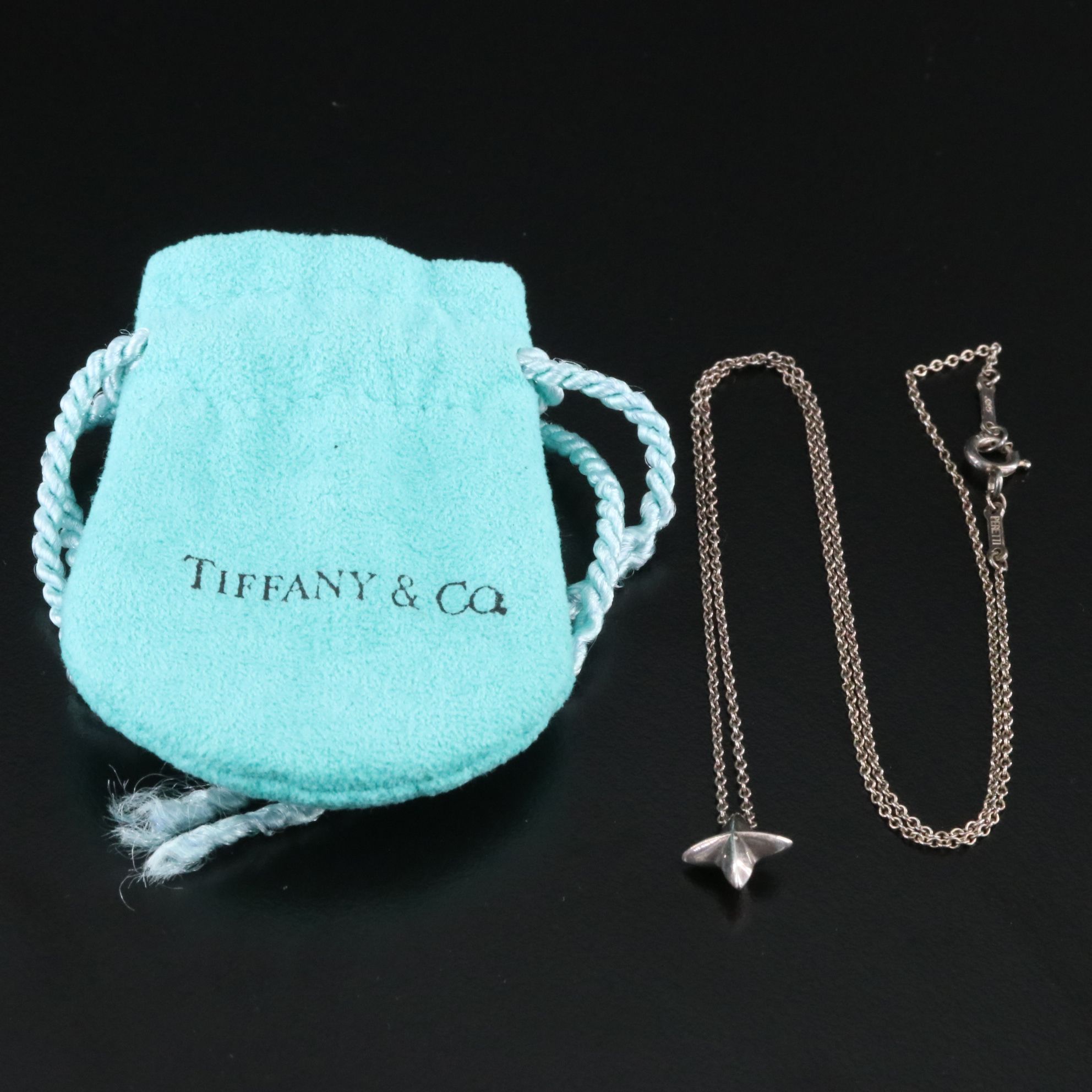 Elsa Peretti for Tiffany & Co. Sirius Star Necklace