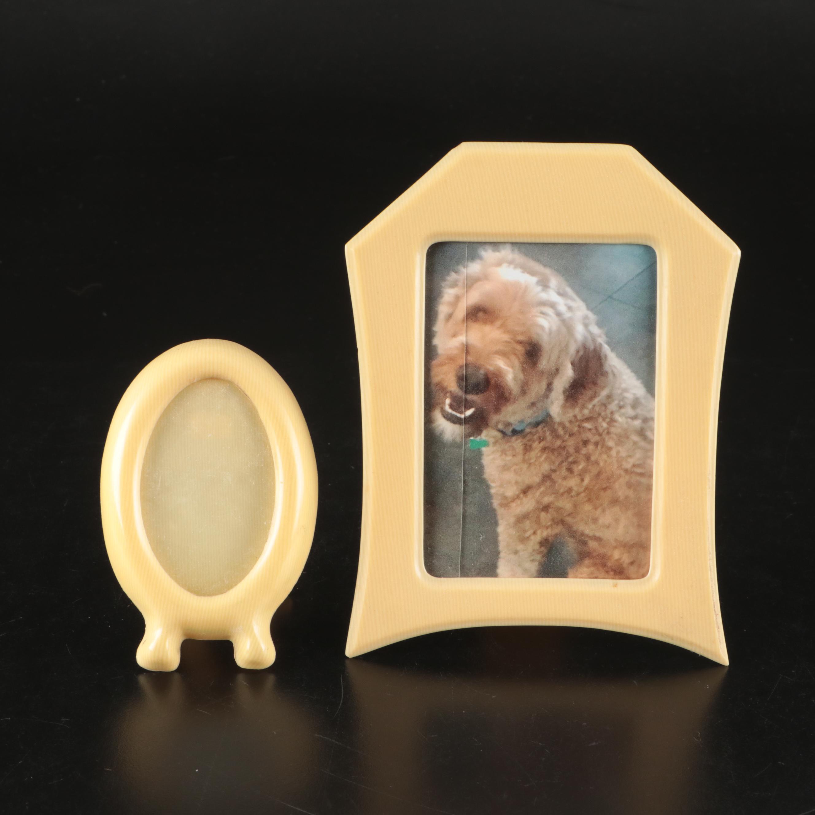 Photographs of Men and Women in Celluloid Frames with Dish