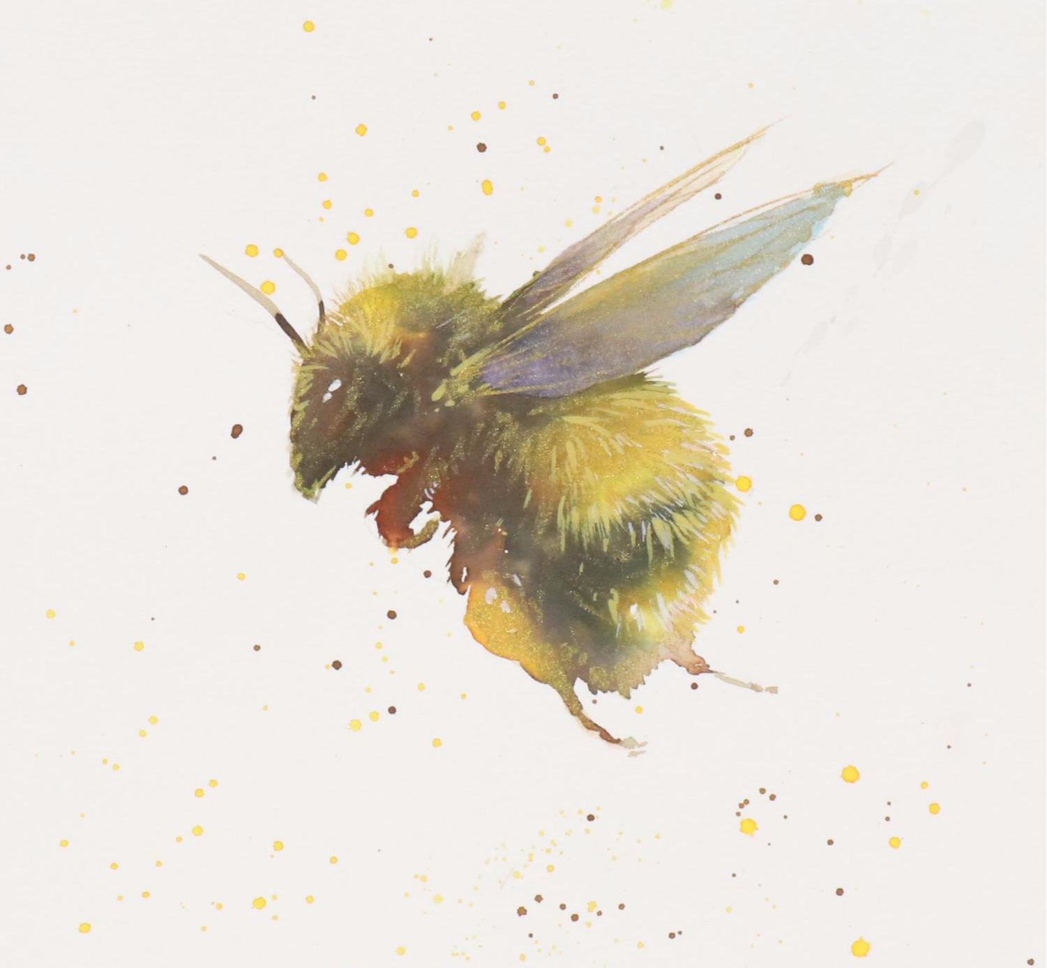 Inga Kovalenko Watercolor Painting of Bumblebee, 2025