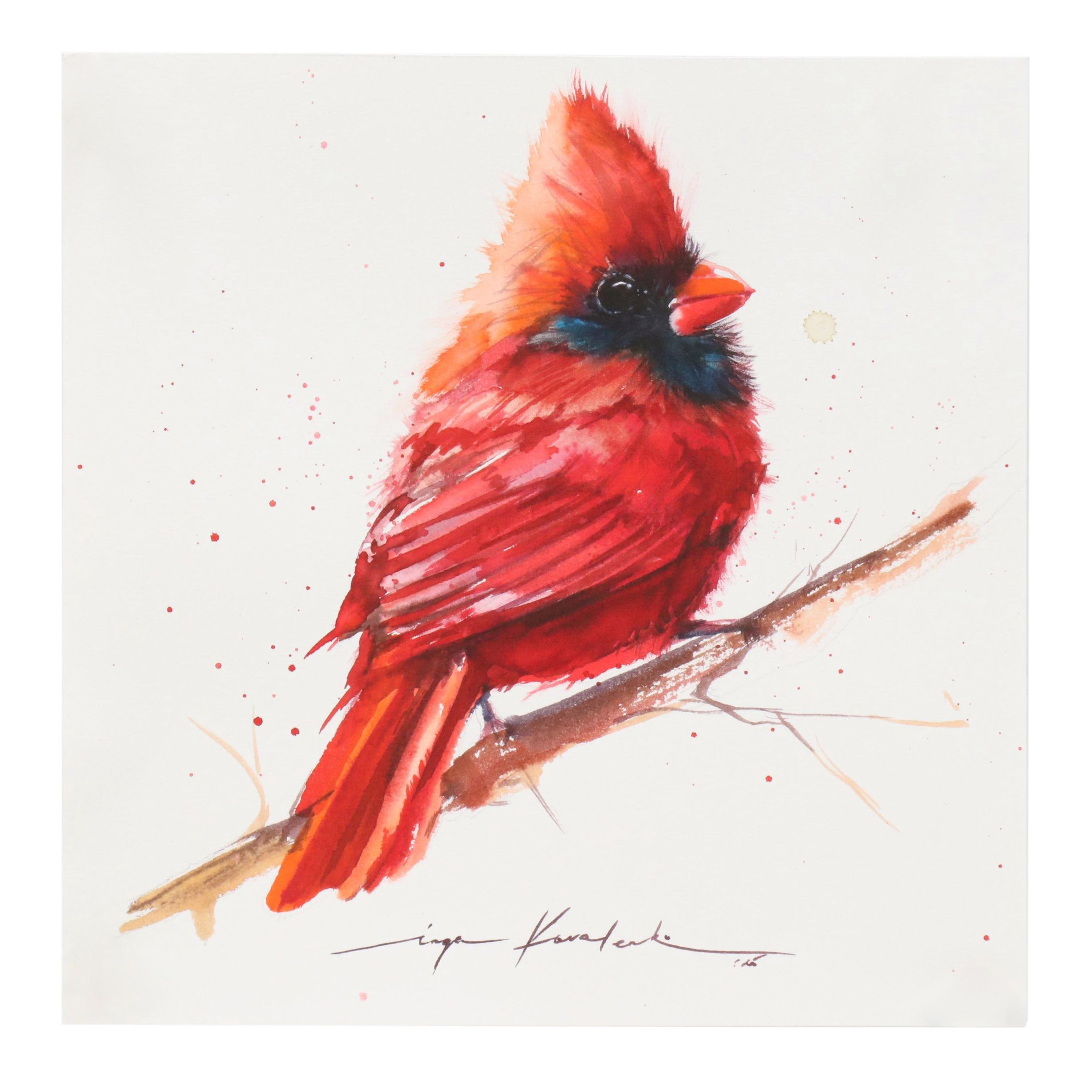 Inga Kovalenko Watercolor Painting of Baby Cardinal, 2025