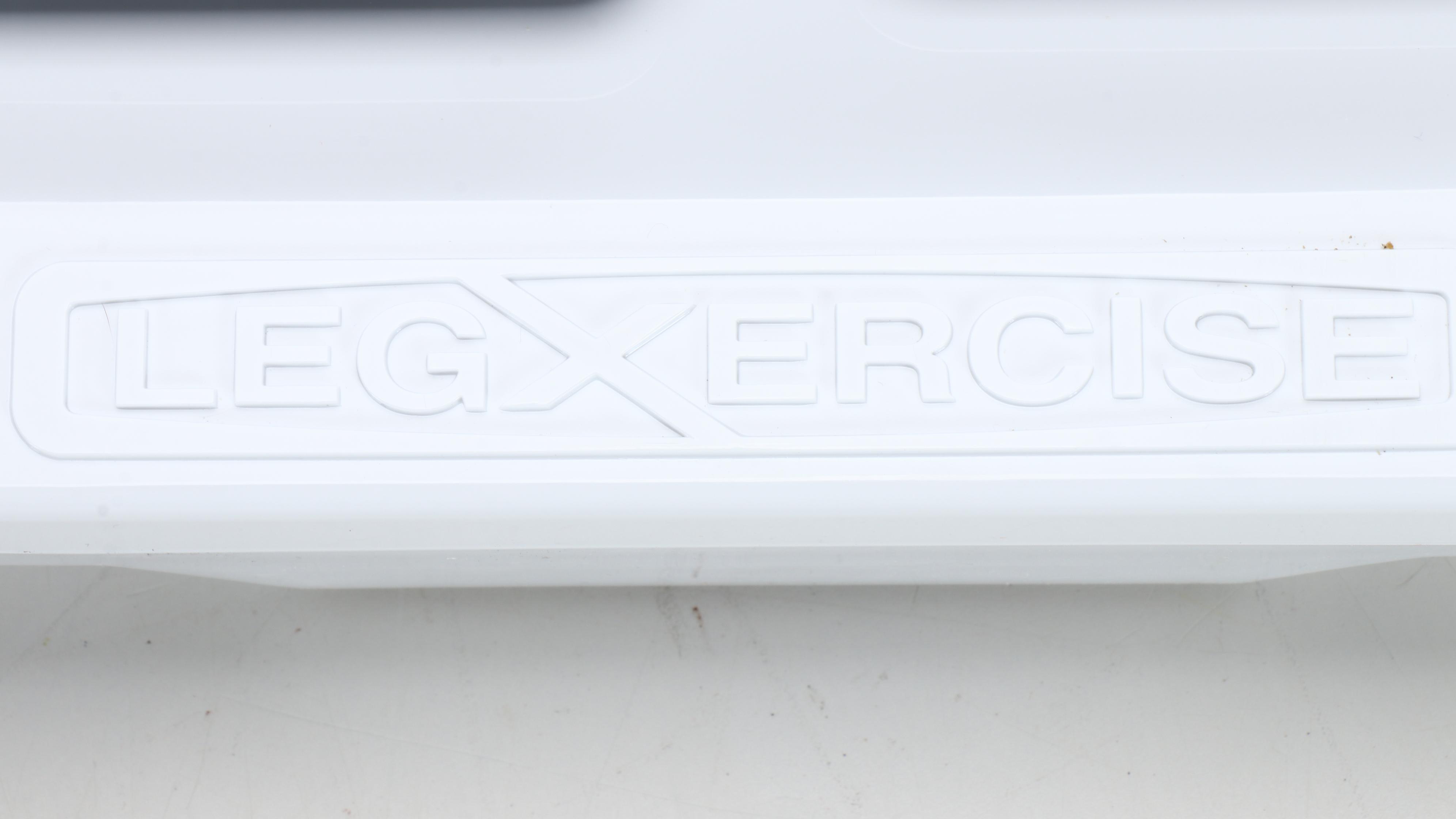 LegXercise Professional Walking Simulator