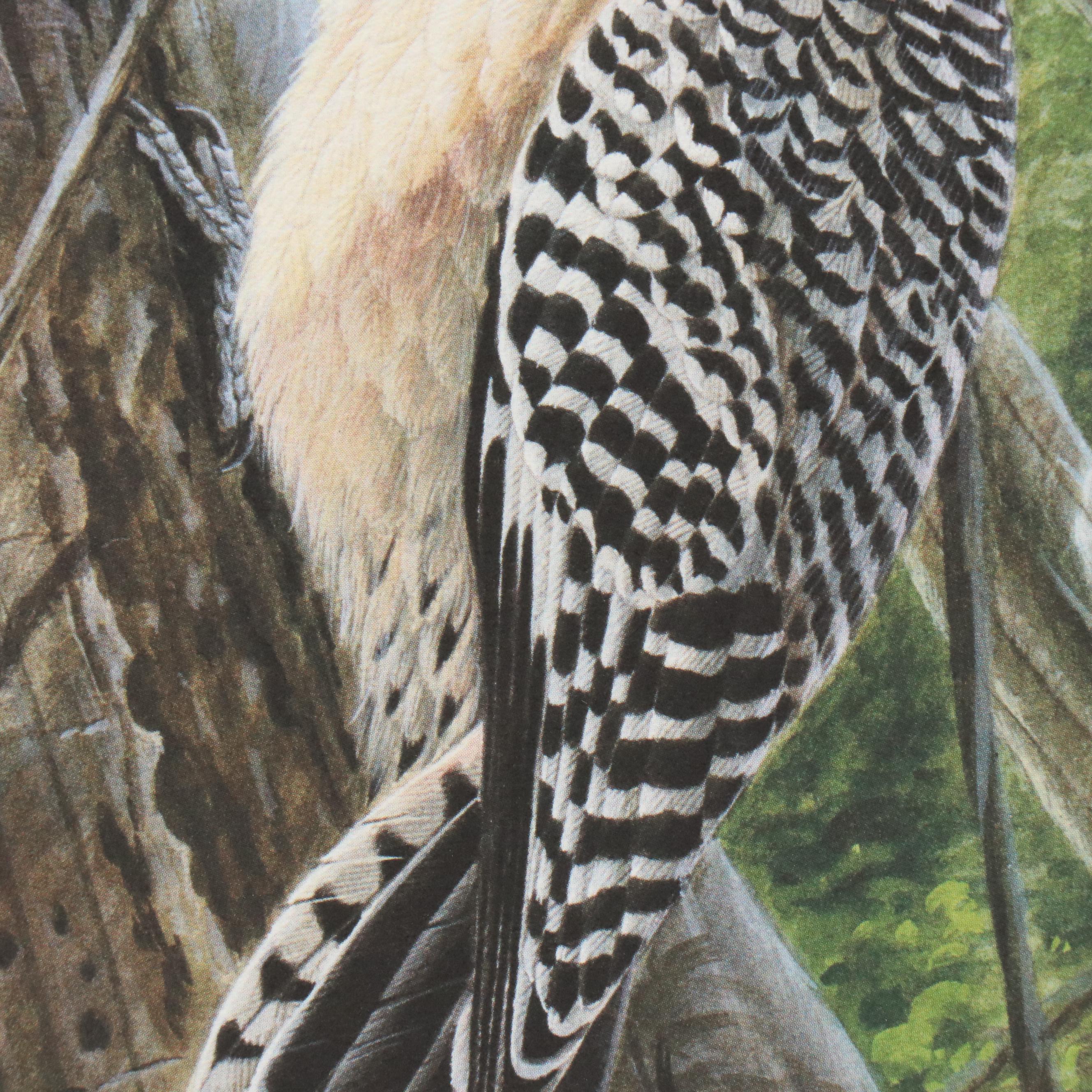 John Ruthven Offset Lithograph "Red-bellied Woodpecker," 1993