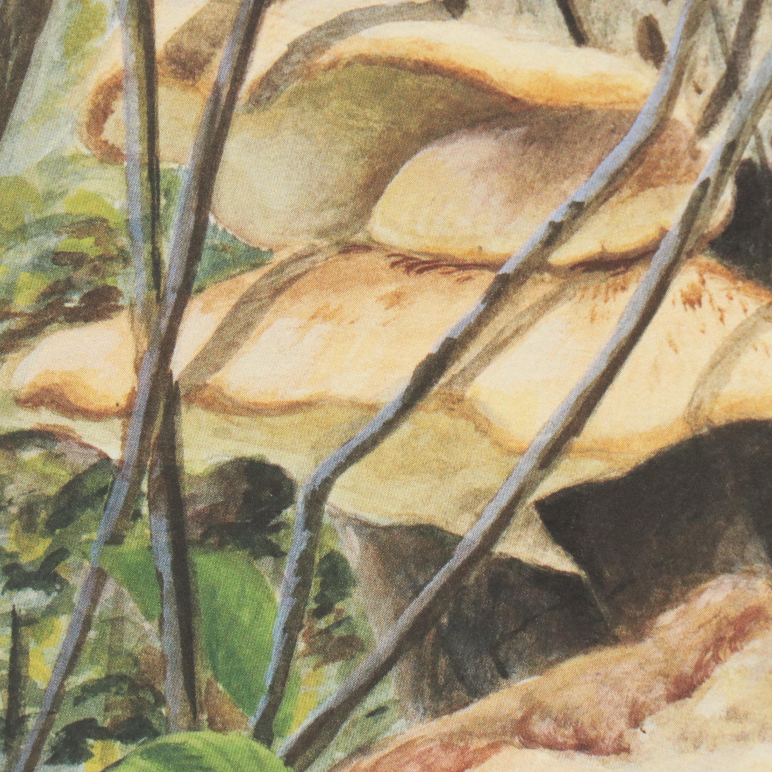 John Ruthven Offset Lithograph "Red-bellied Woodpecker," 1993