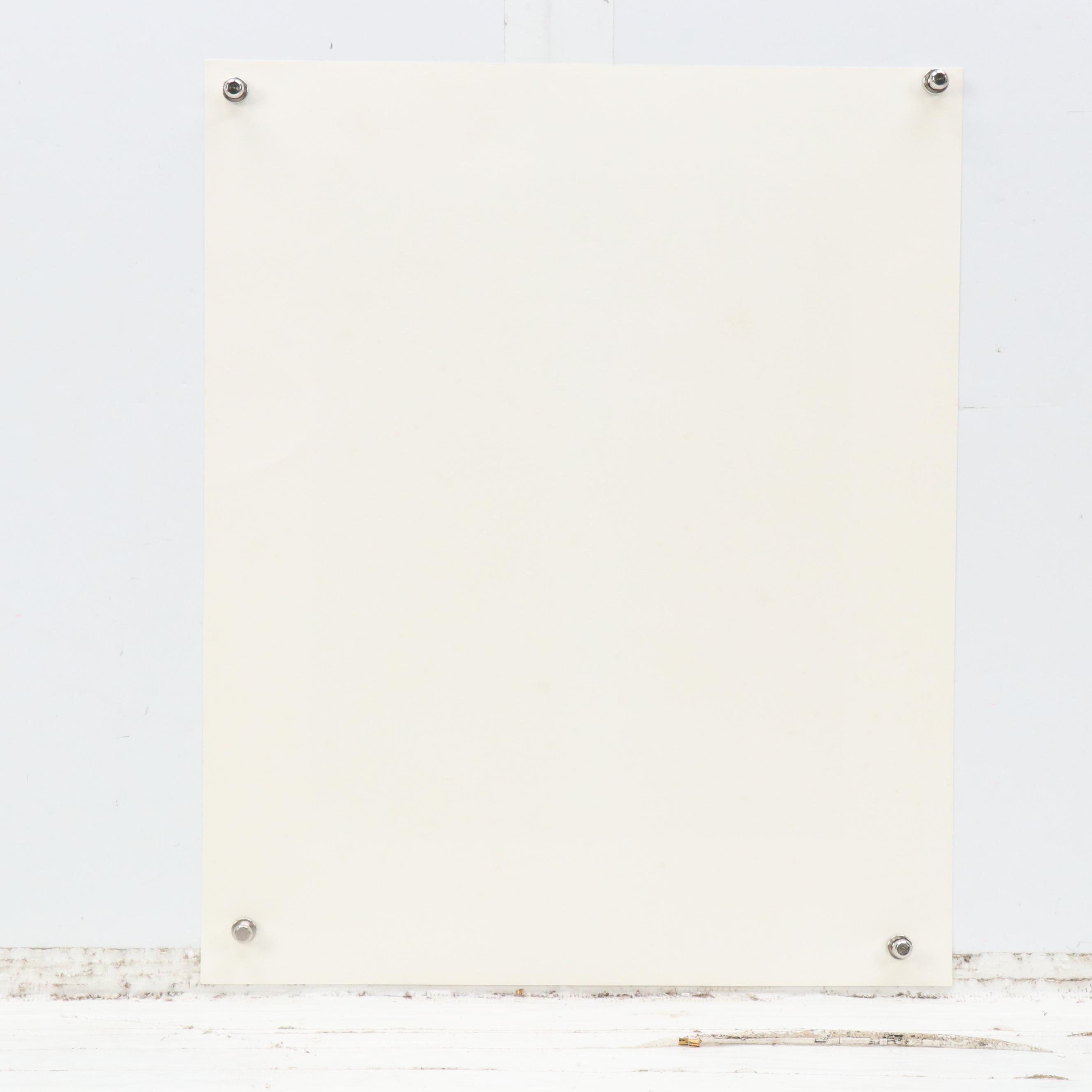 John Ruthven Offset Lithograph "Red-bellied Woodpecker," 1993