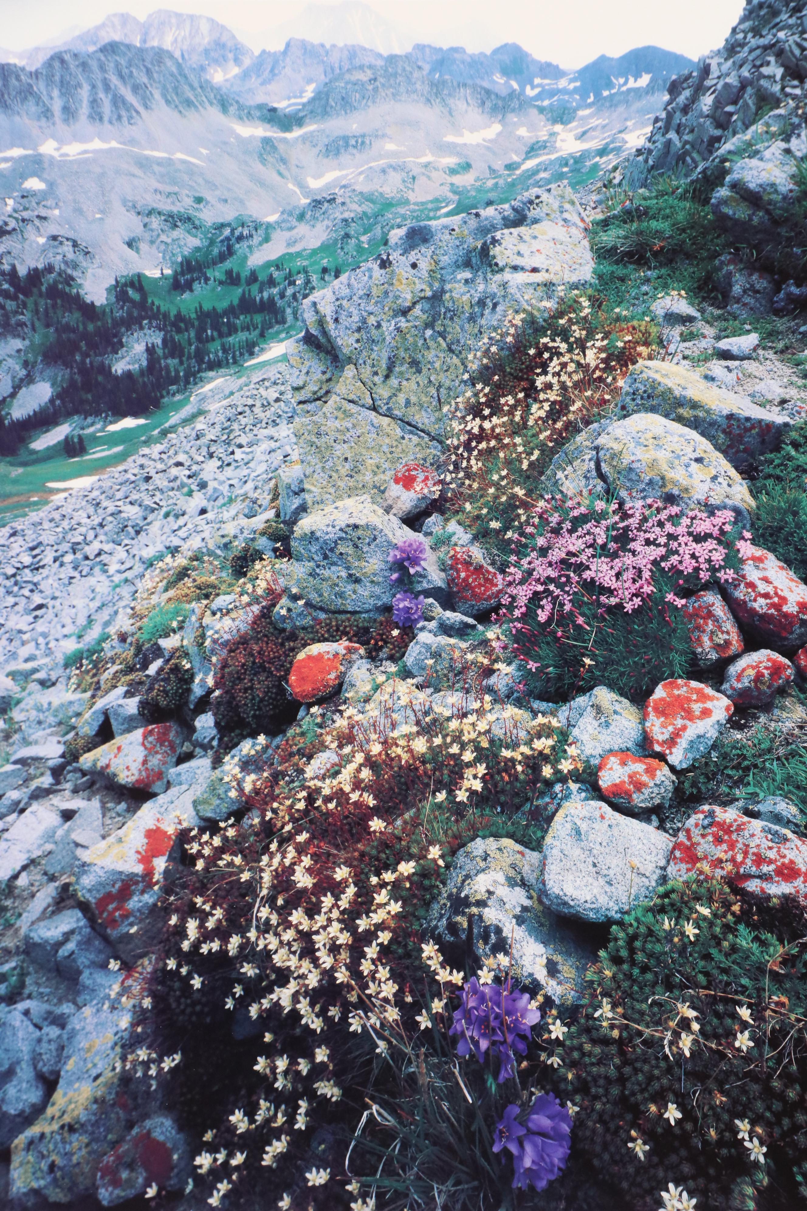 The Wilderness Society Commemorative Offset Lithograph Poster, 1989