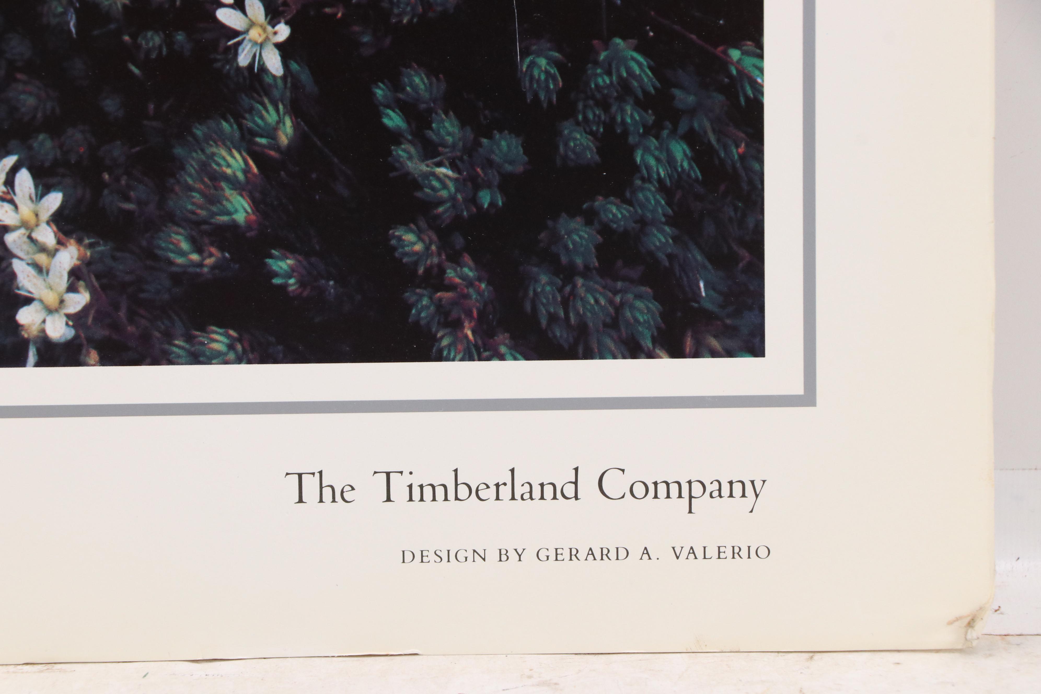 The Wilderness Society Commemorative Offset Lithograph Poster, 1989