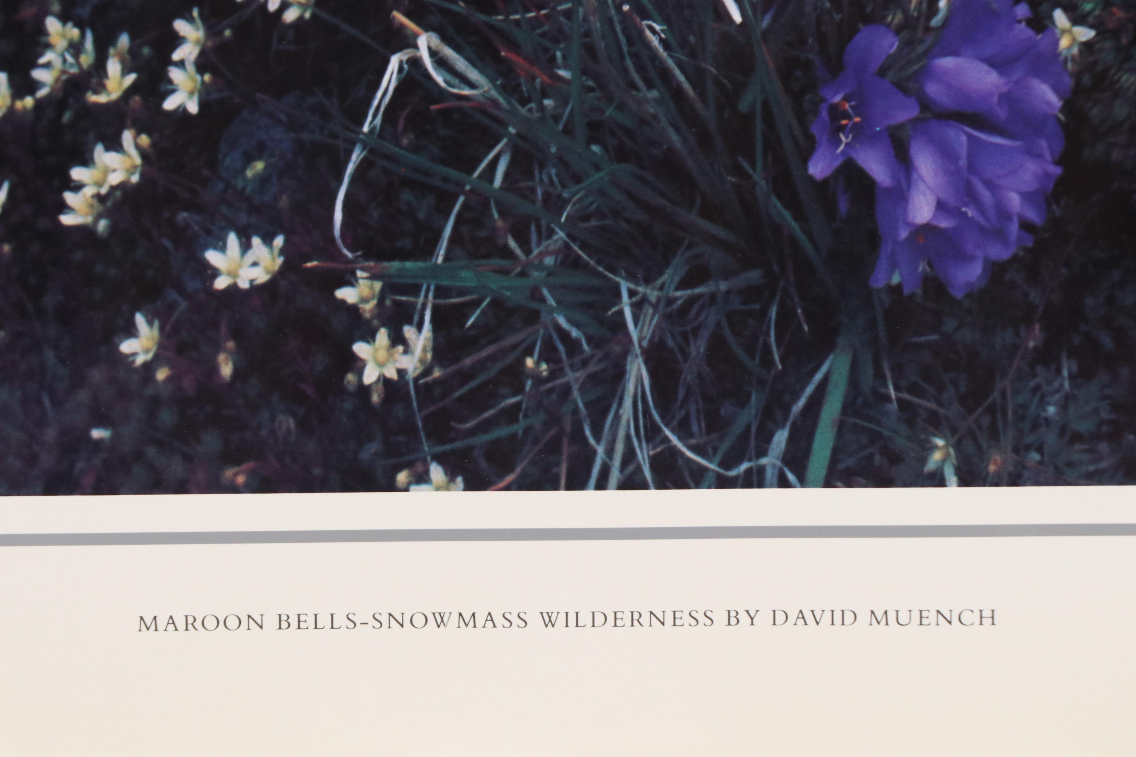 The Wilderness Society Commemorative Offset Lithograph Poster, 1989