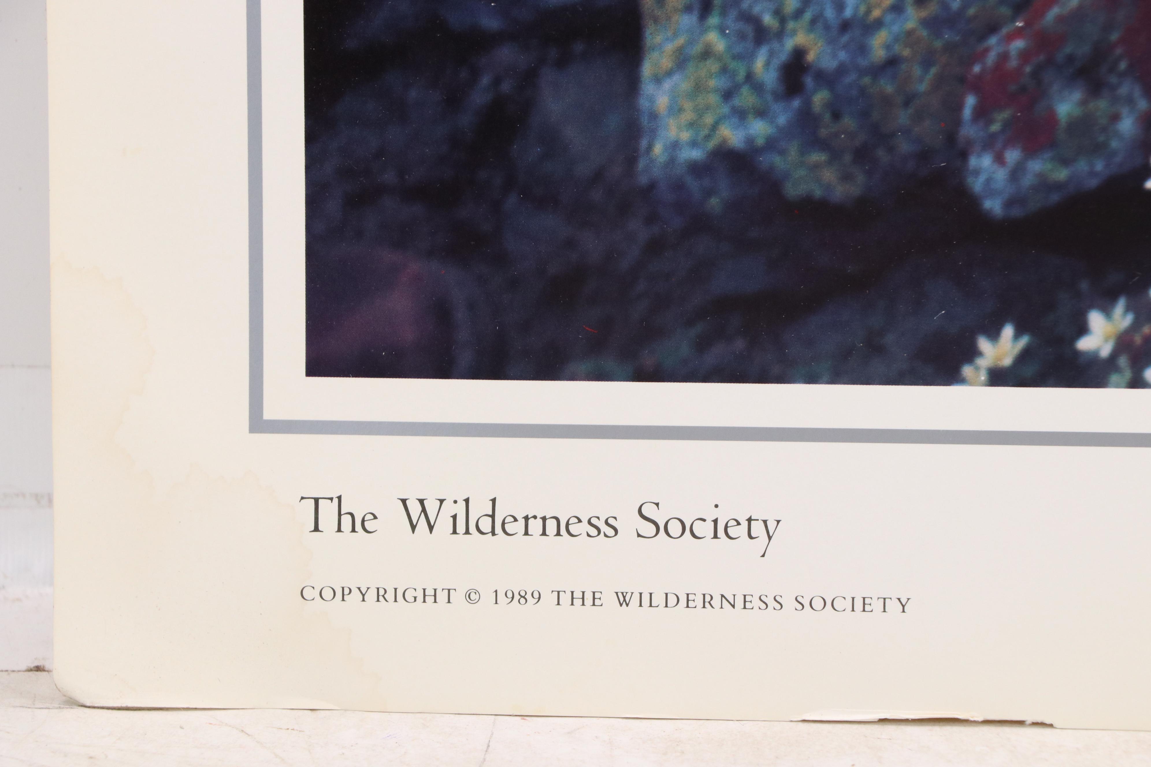 The Wilderness Society Commemorative Offset Lithograph Poster, 1989