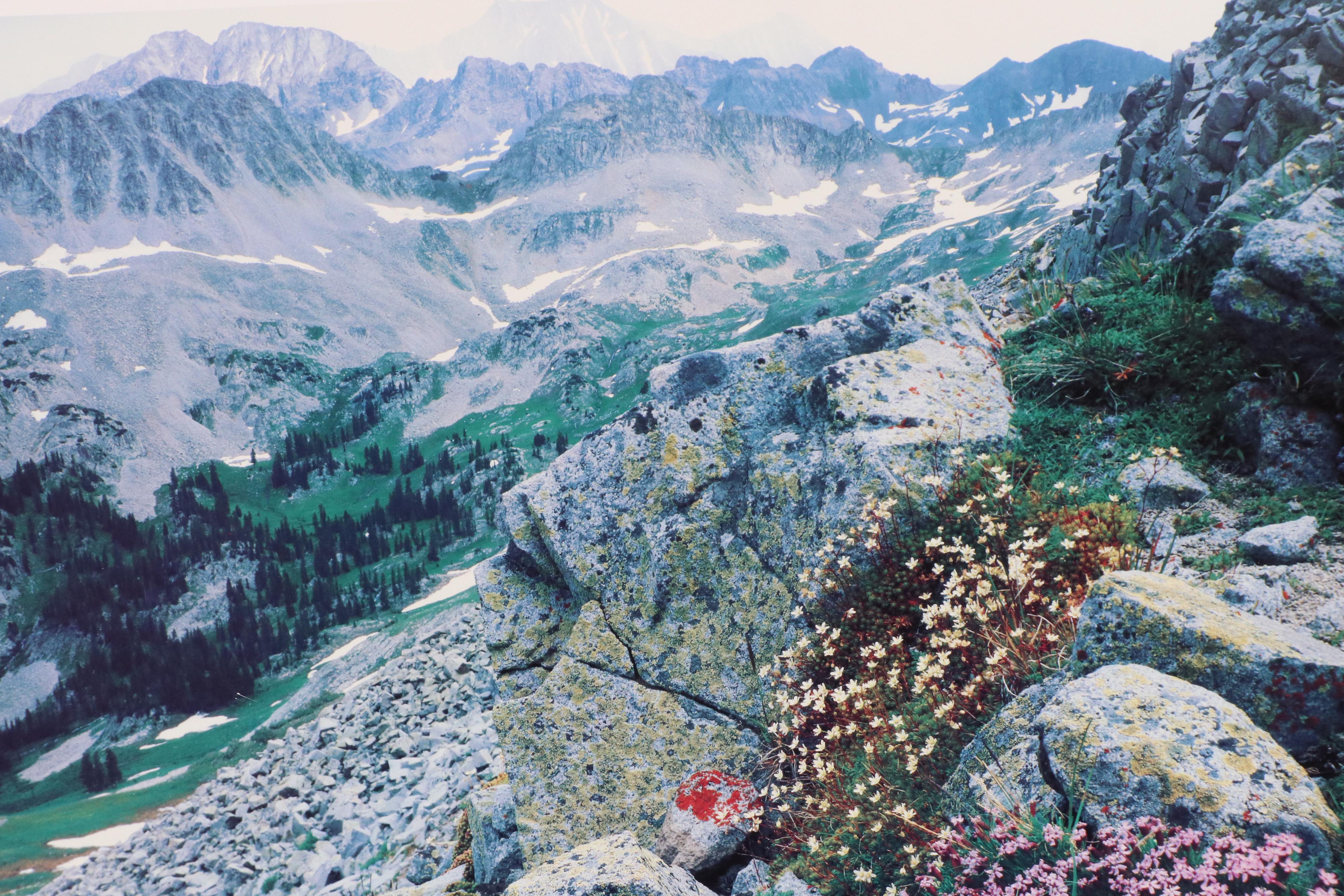 The Wilderness Society Commemorative Offset Lithograph Poster, 1989