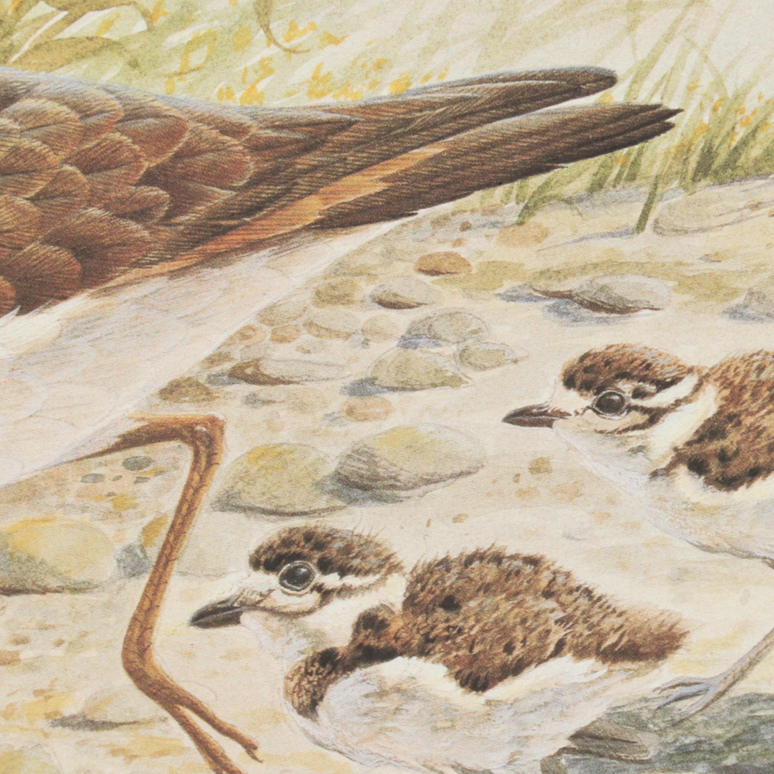 John Ruthven Offset Lithograph "Killdeer," 1989