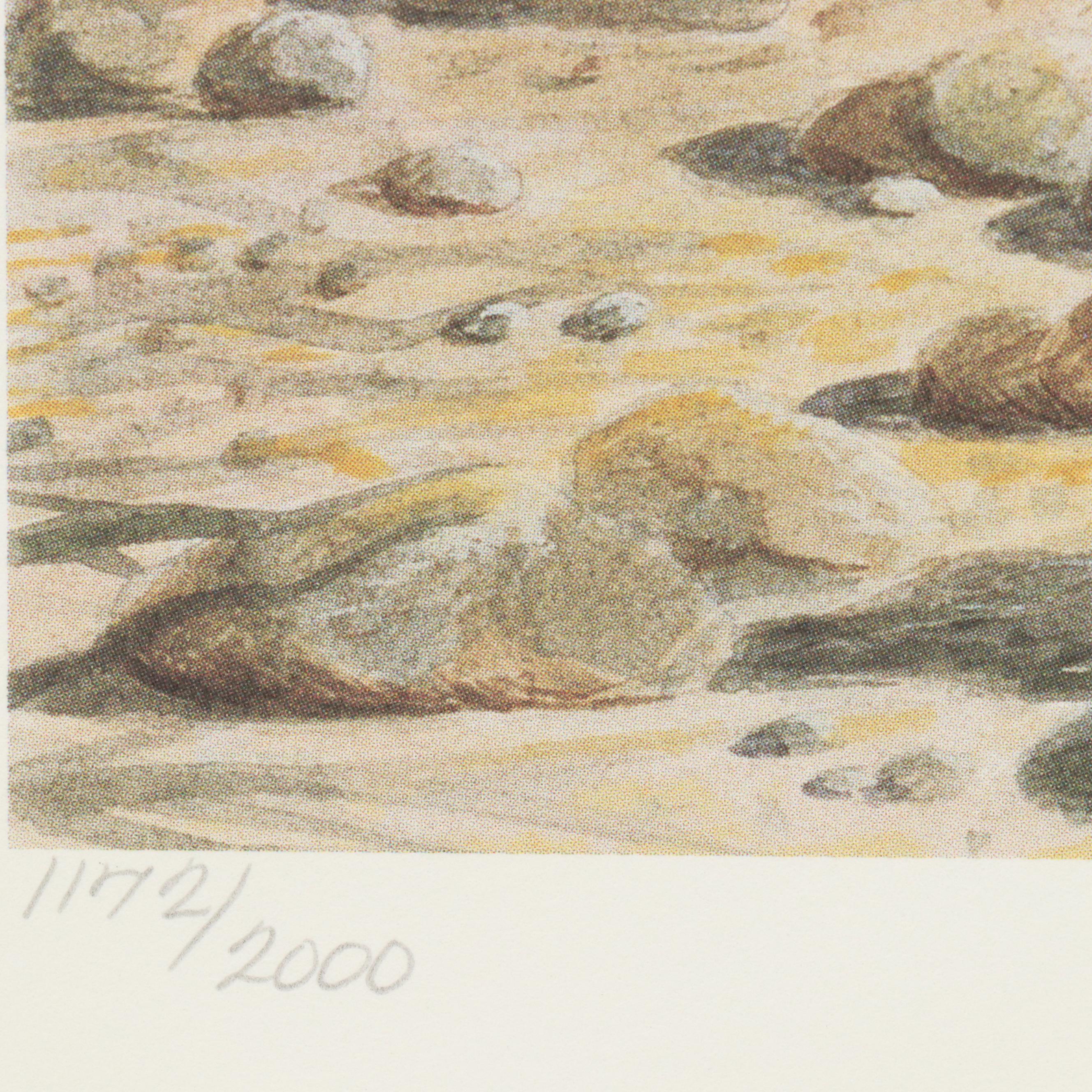 John Ruthven Offset Lithograph "Killdeer," 1989