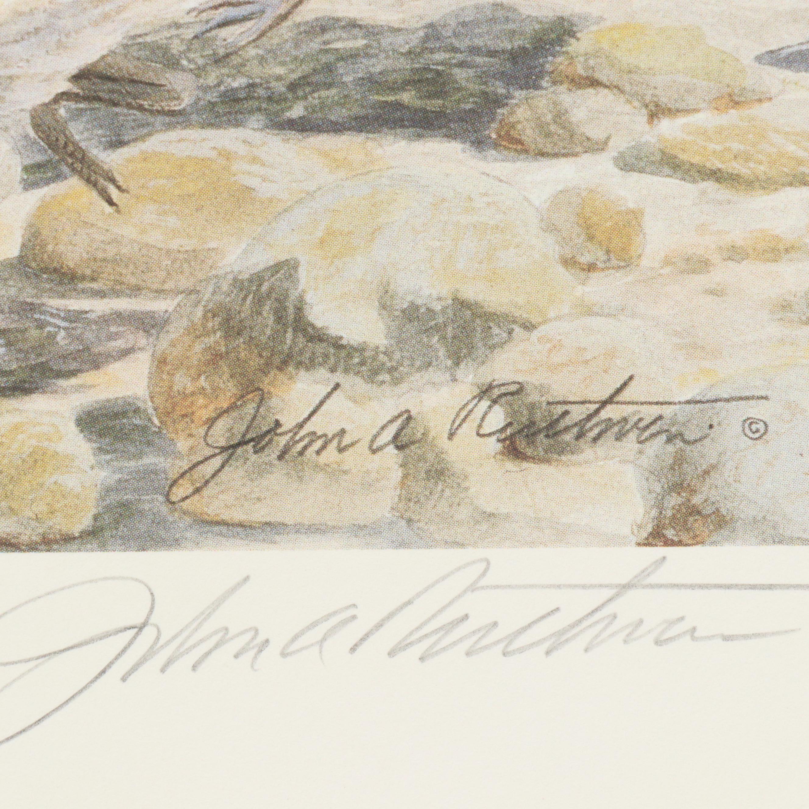 John Ruthven Offset Lithograph "Killdeer," 1989