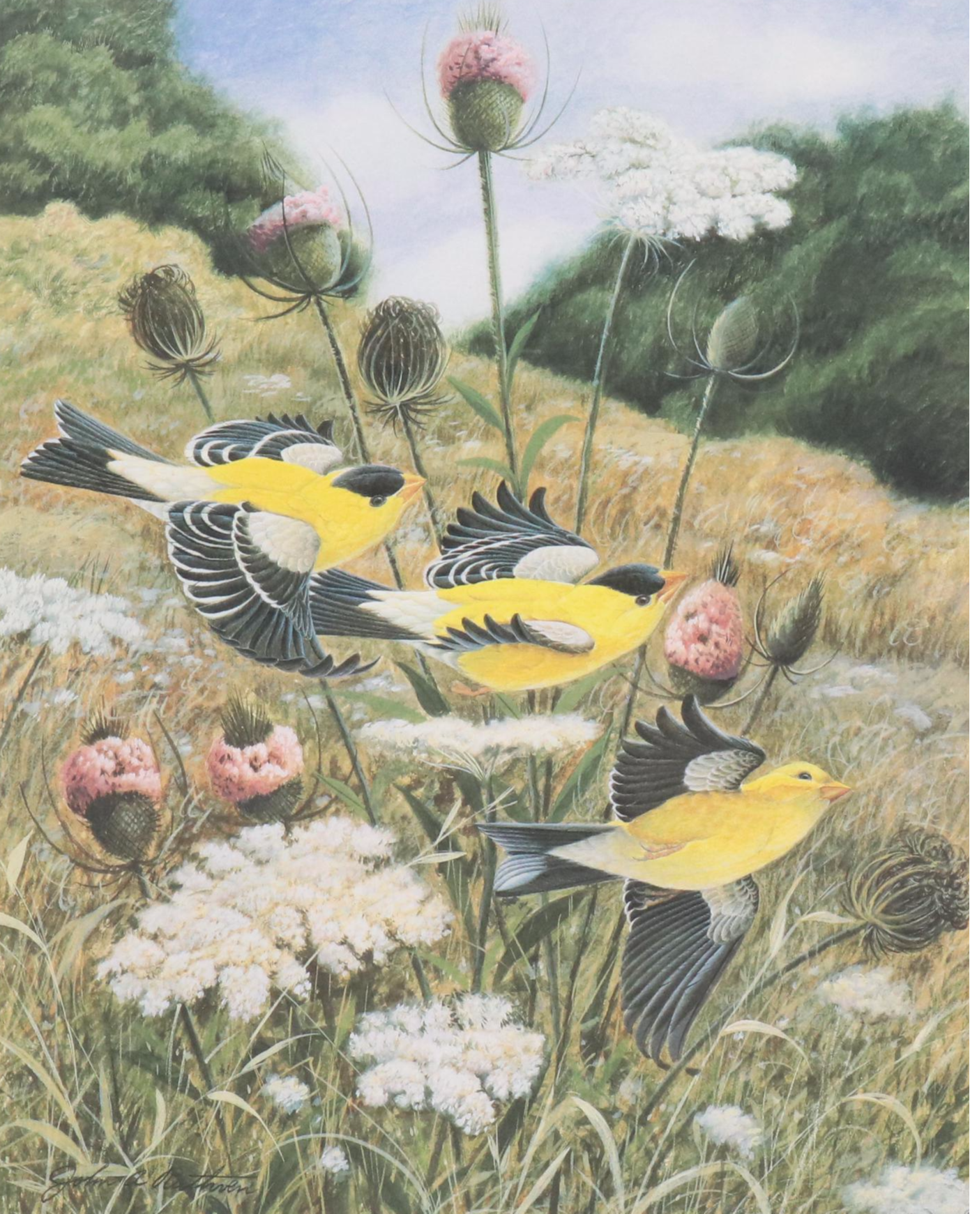 John Ruthven Offset Lithograph "Goldfinch," 1990