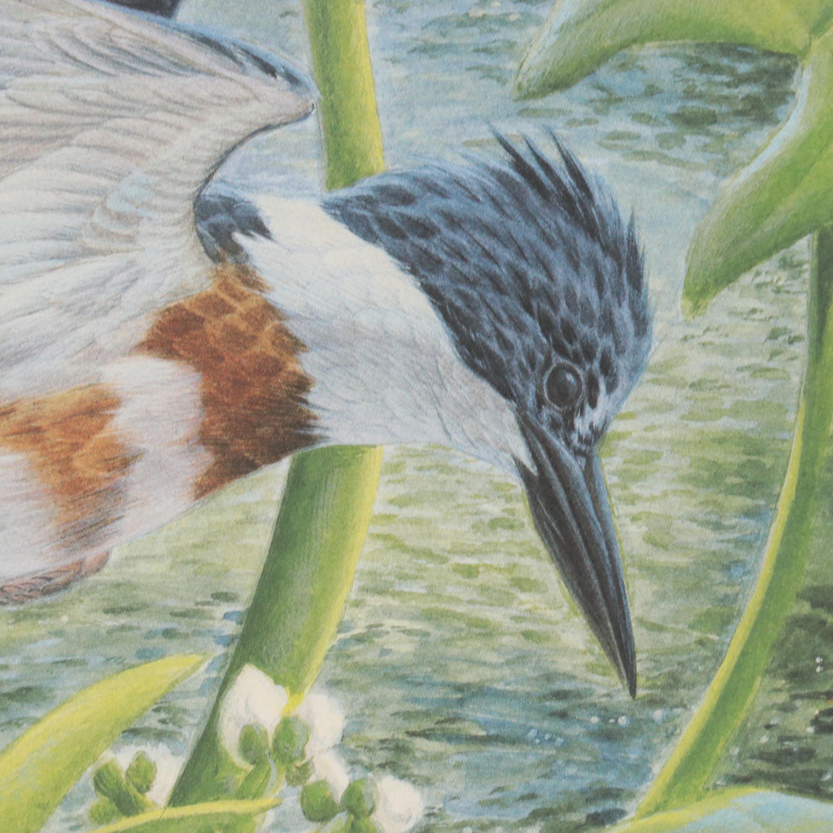 John Ruthven Offset Lithograph "Belted Kingfisher," 1988