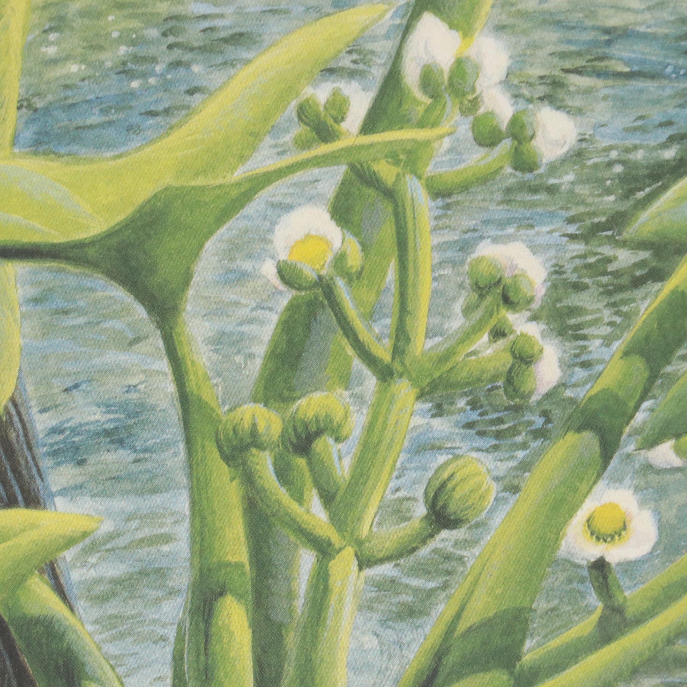 John Ruthven Offset Lithograph "Belted Kingfisher," 1988