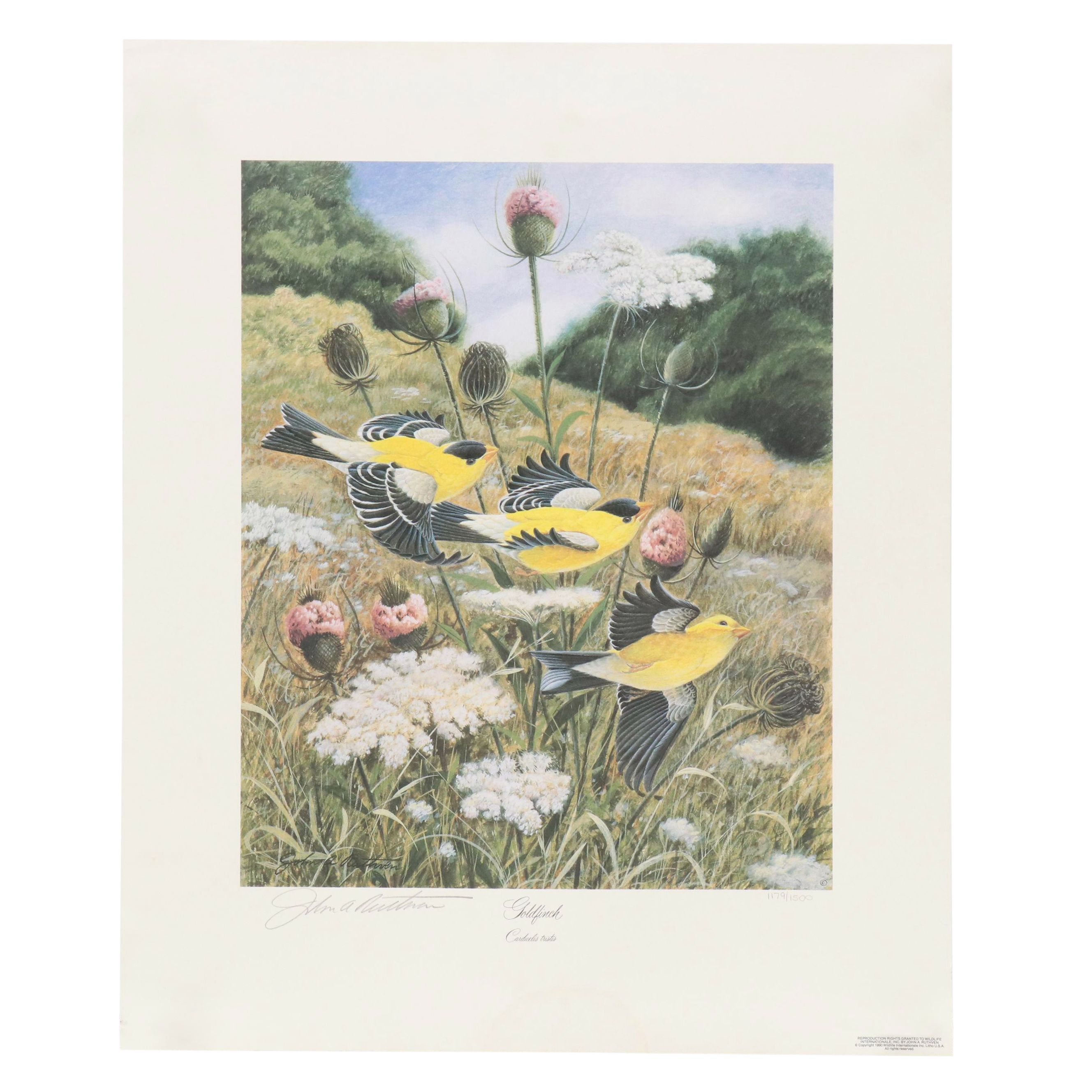 John Ruthven Offset Lithograph "Goldfinch," 1990