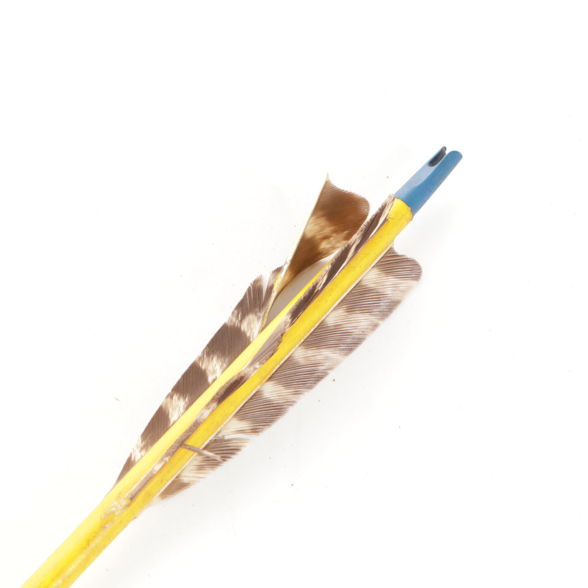 Bear Archery Leather Quiver with Arrows, Teal Bow and Accessories