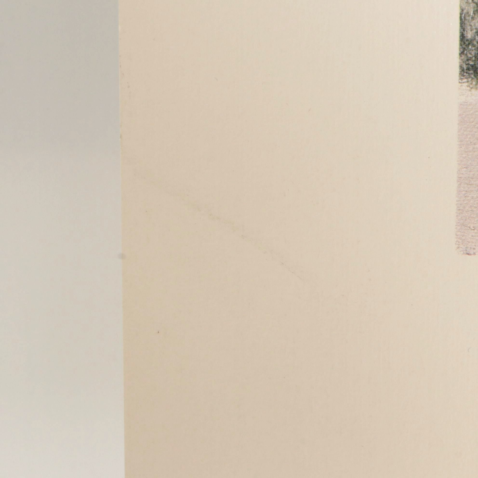 Marian Anderson "Dorothy" Offset Lithograph, 1988