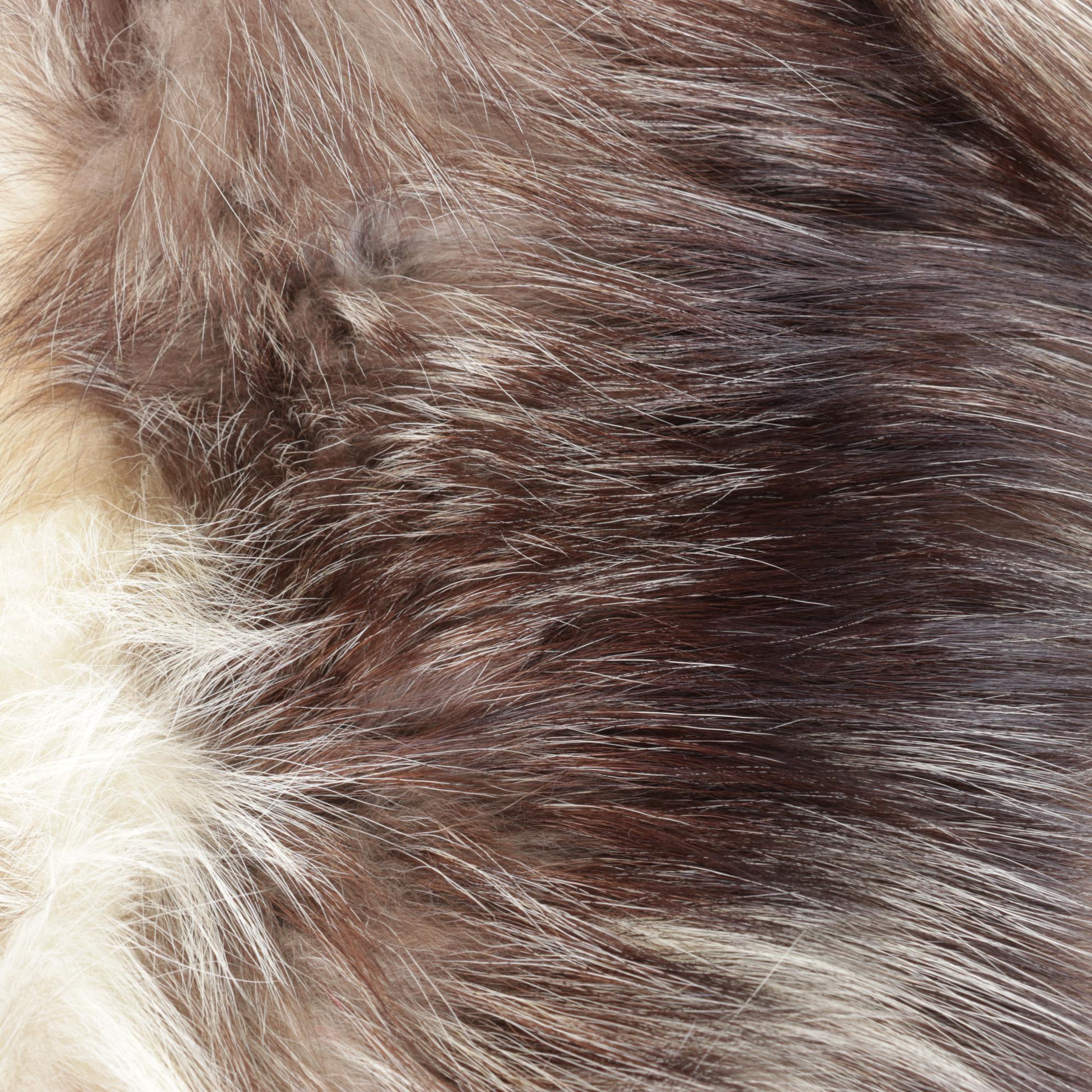 Fox Fur Shawl Collar, Mid-Late 20th C.