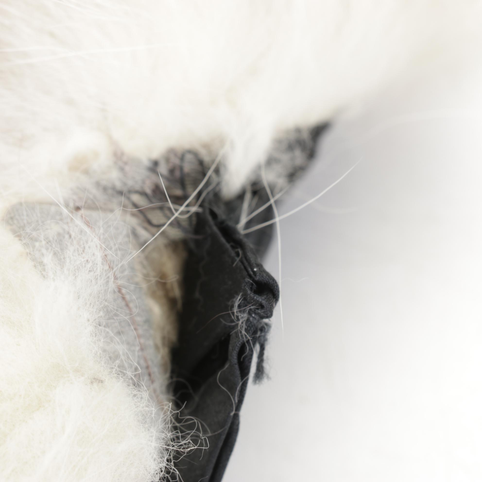 Fox Fur Shawl Collar, Mid-Late 20th C.