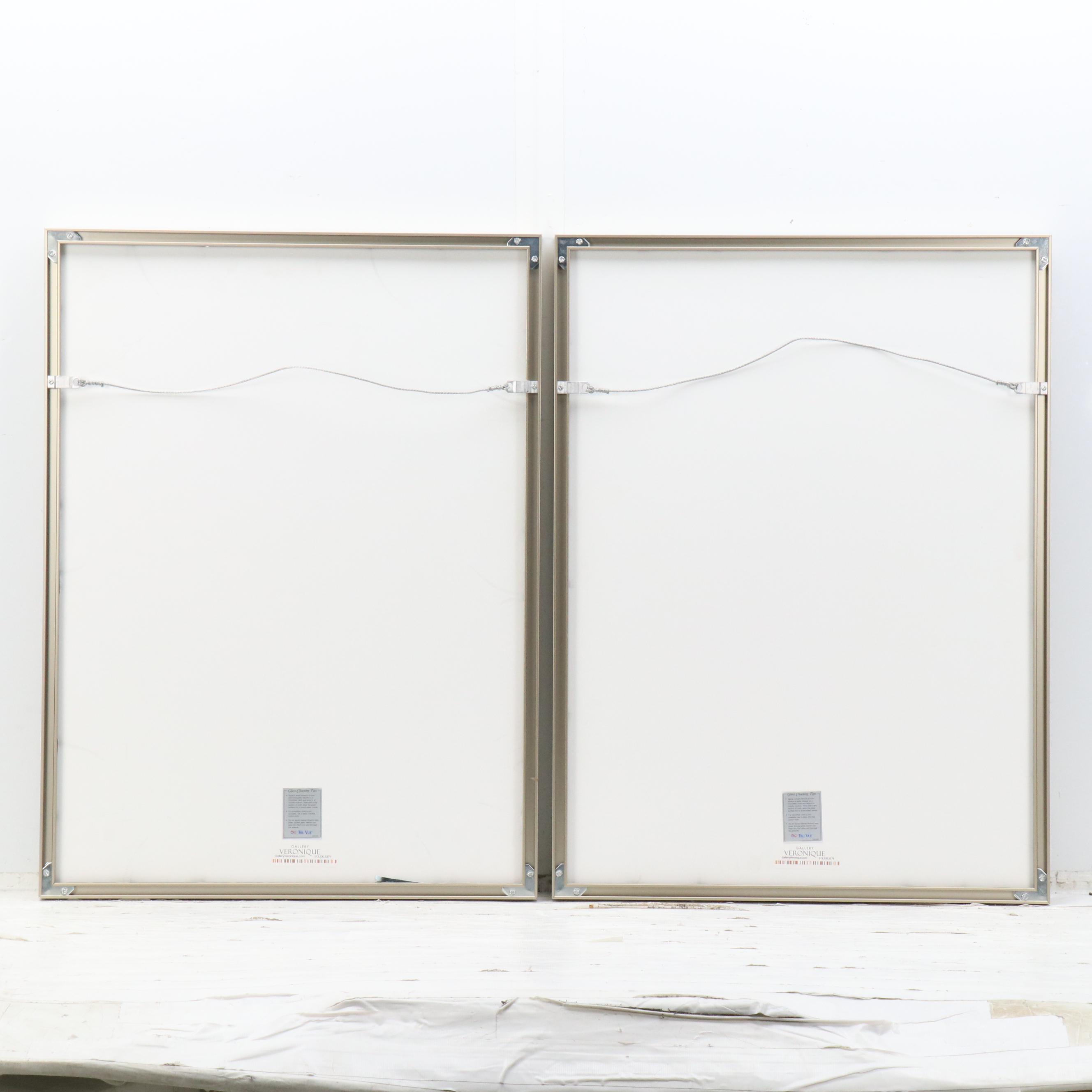 Grand Tour Gilded Wax Intaglio Medallion Collection, 19th Century