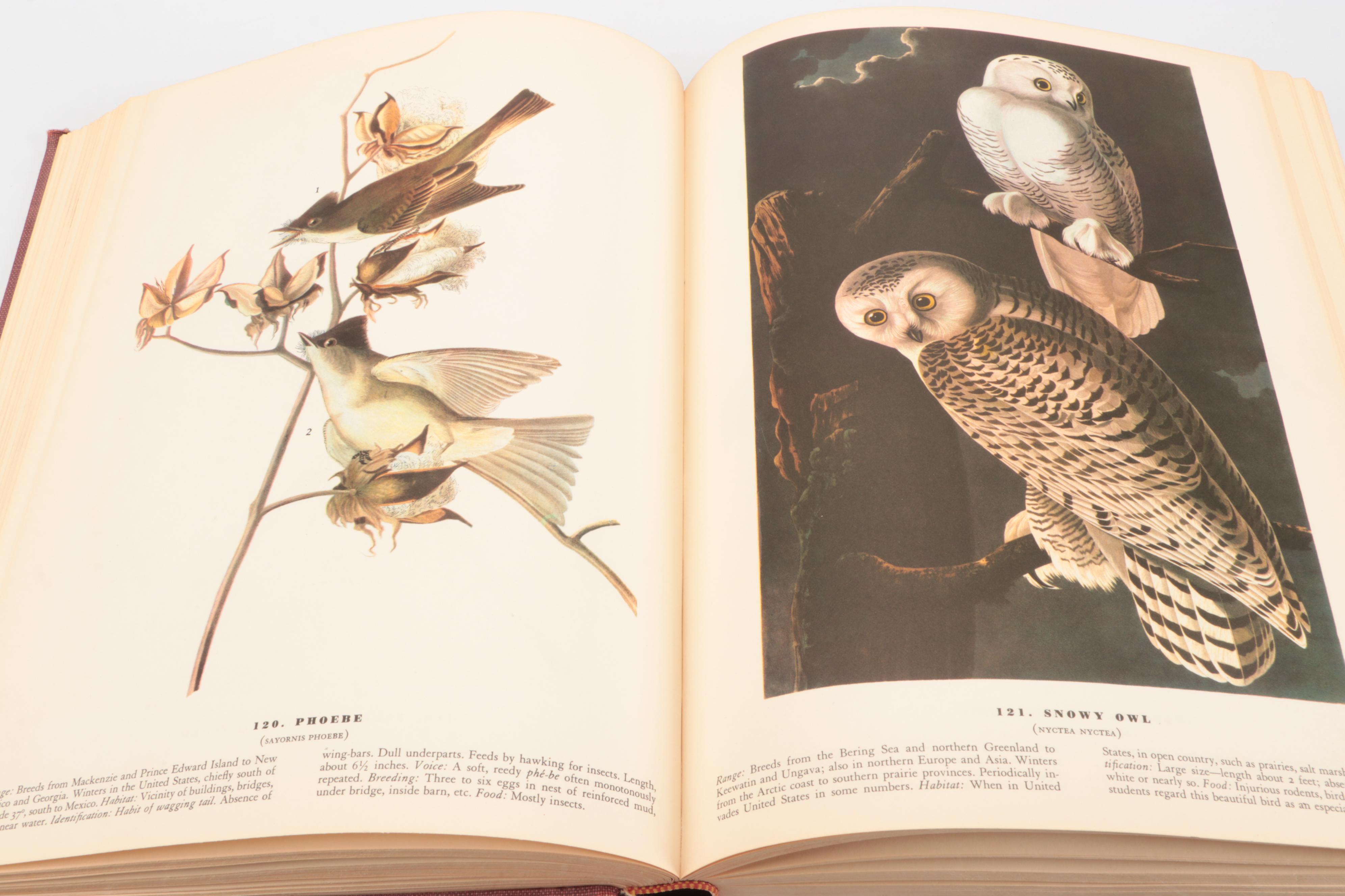 Second Printing "The Birds of America" by John James Audubon, 1941