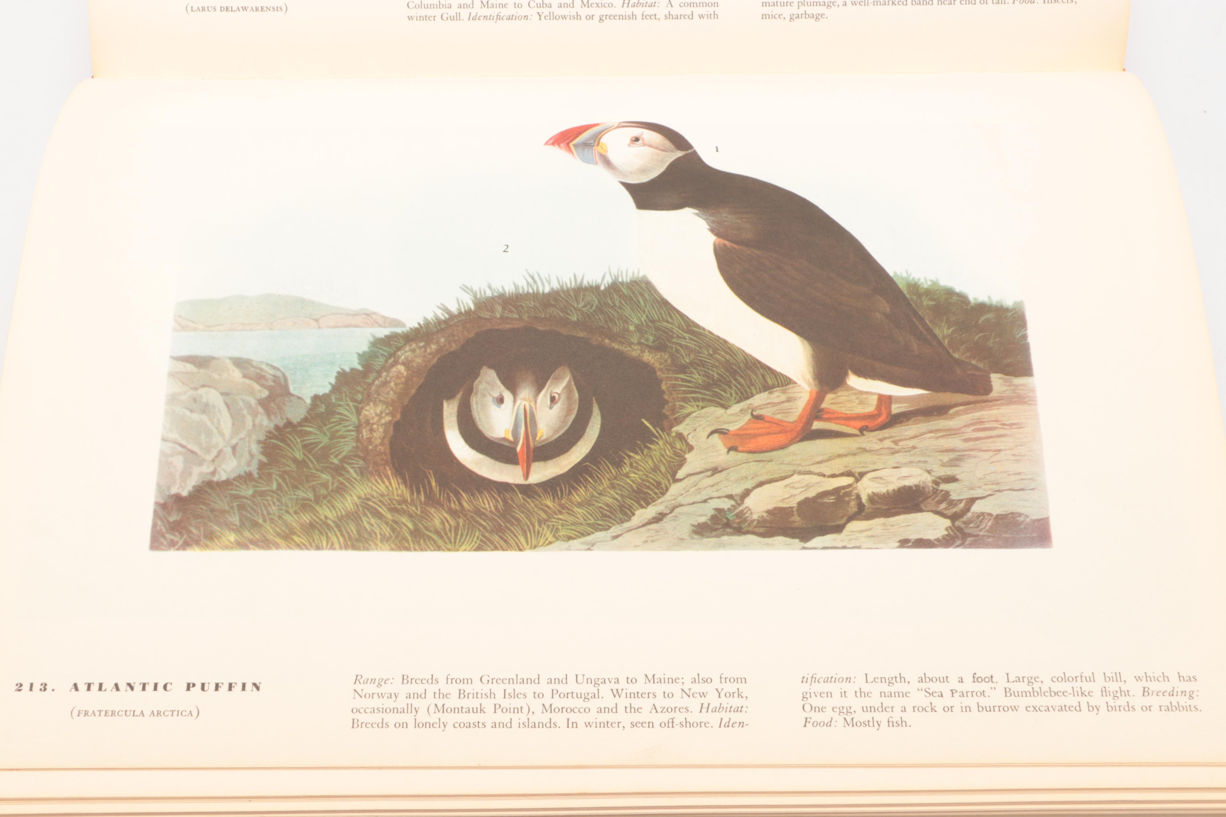 Second Printing "The Birds of America" by John James Audubon, 1941