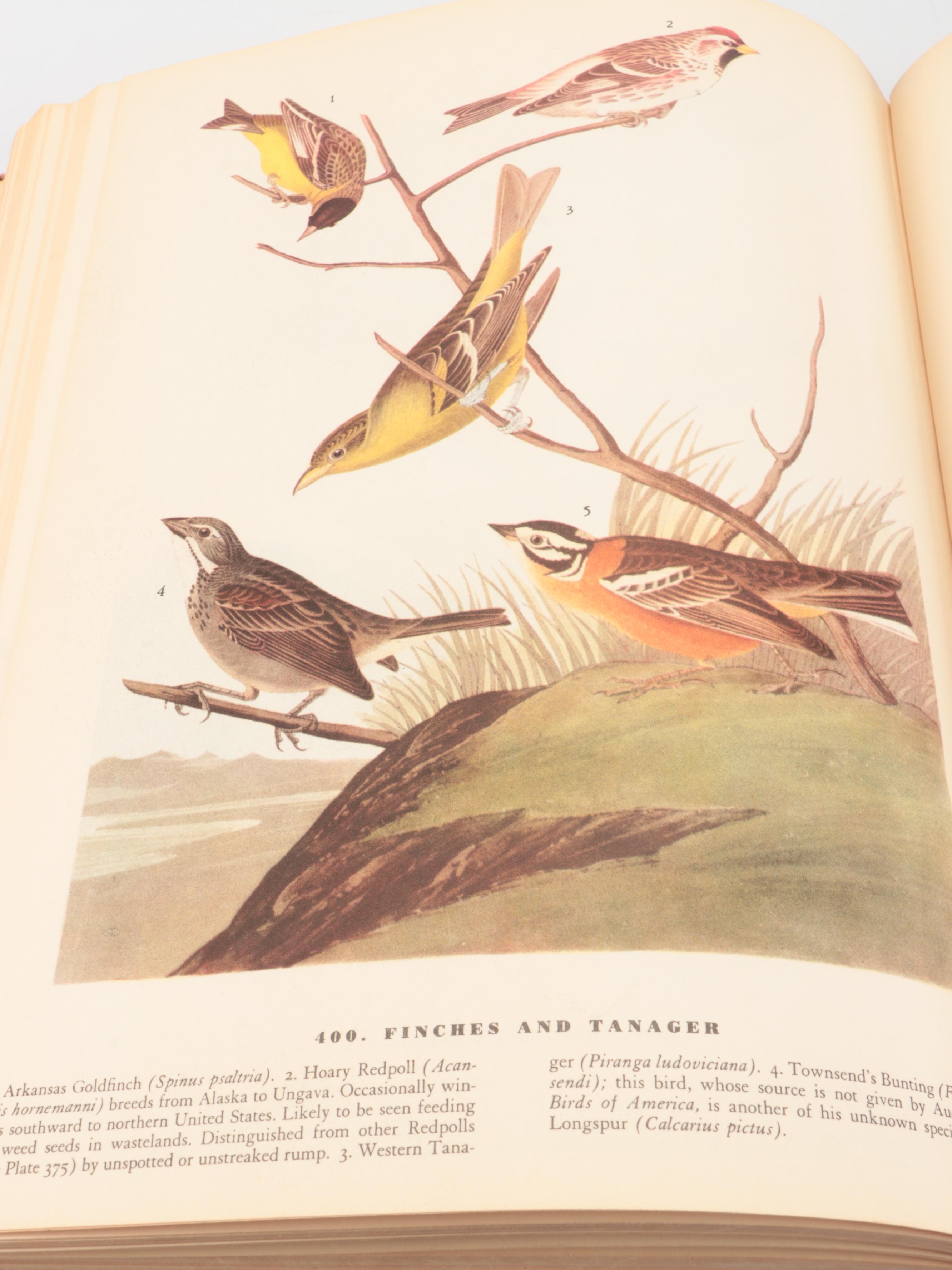 Second Printing "The Birds of America" by John James Audubon, 1941