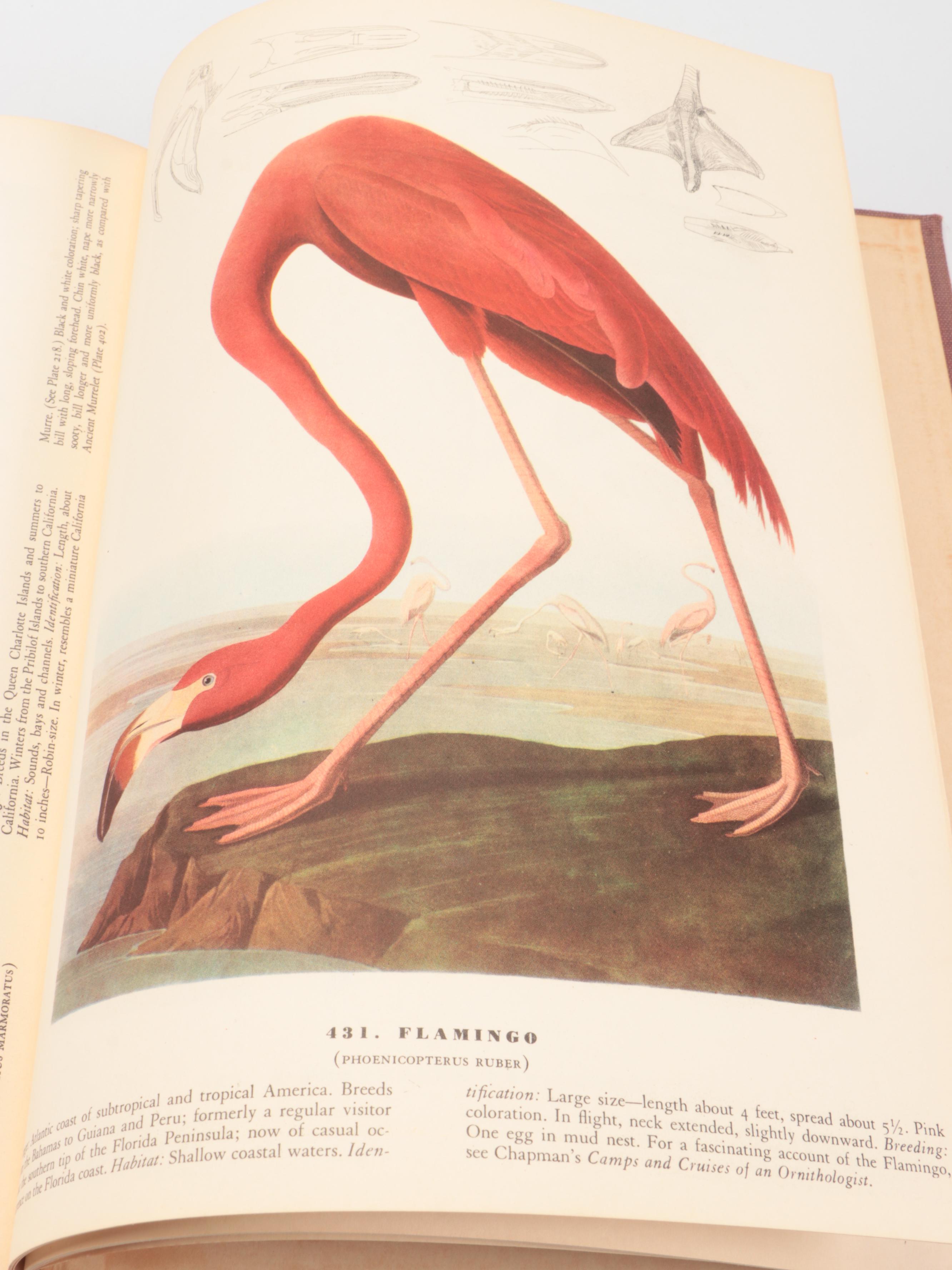 Second Printing "The Birds of America" by John James Audubon, 1941
