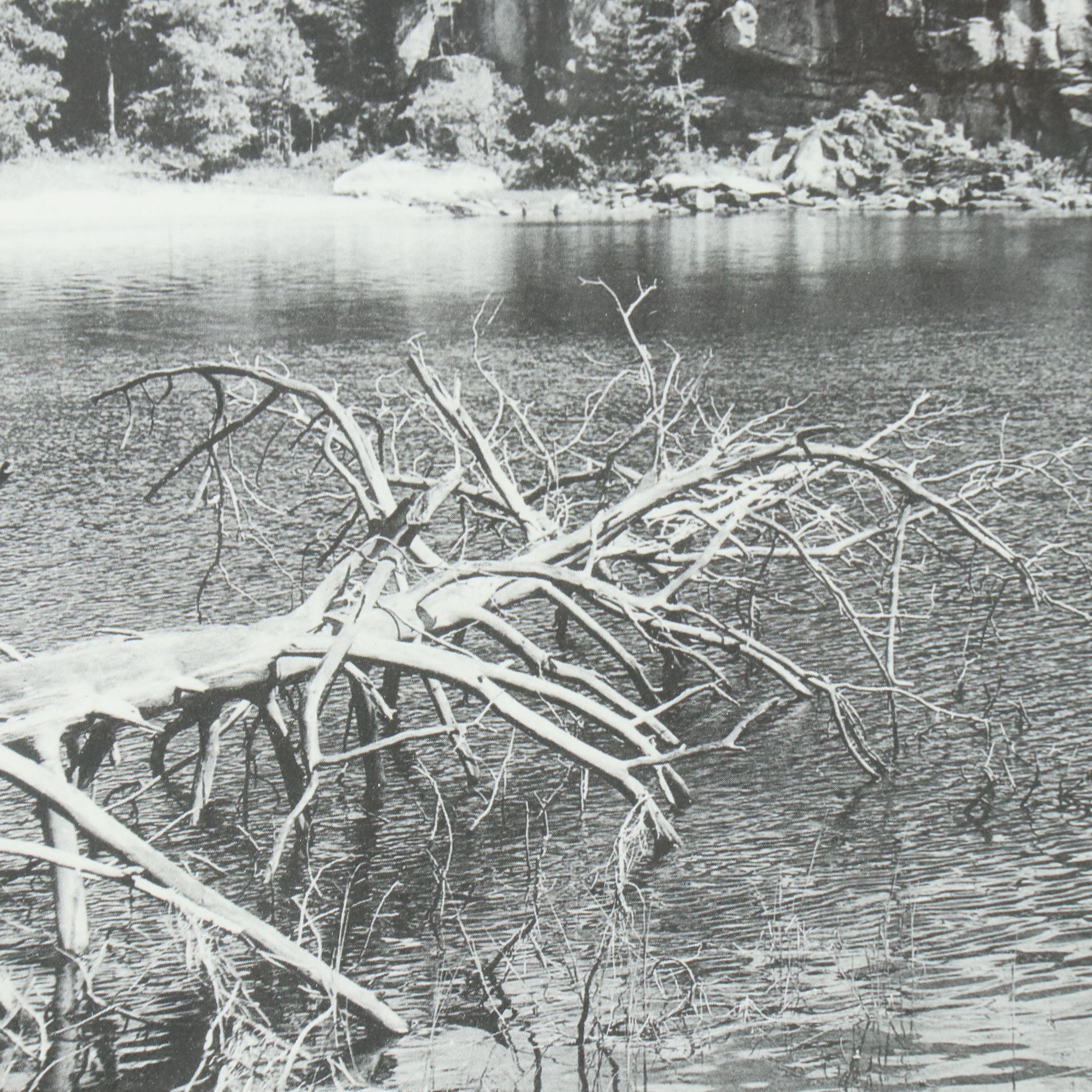 Lake Landscape Halftone "Heading for the Portage"