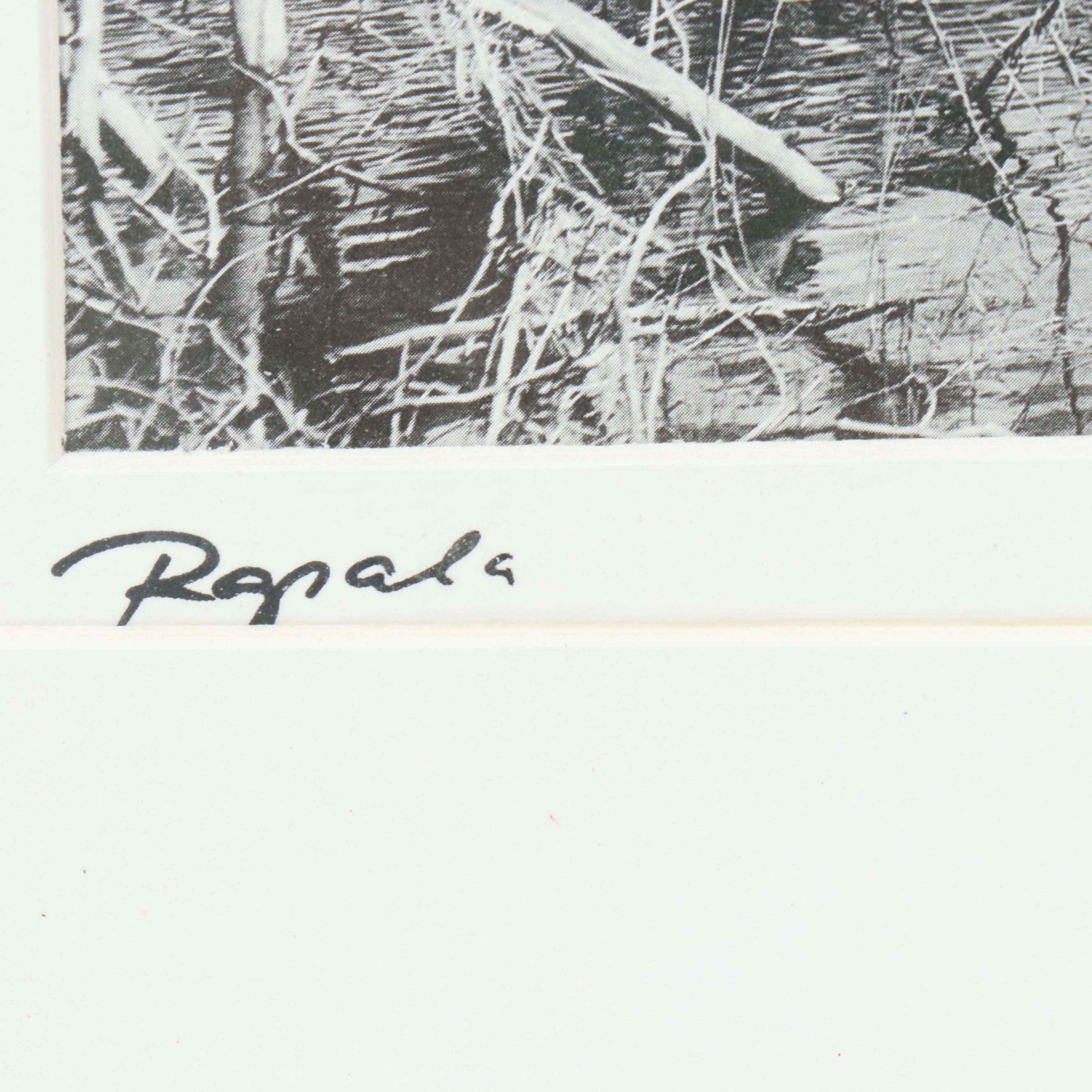 Lake Landscape Halftone "Heading for the Portage"