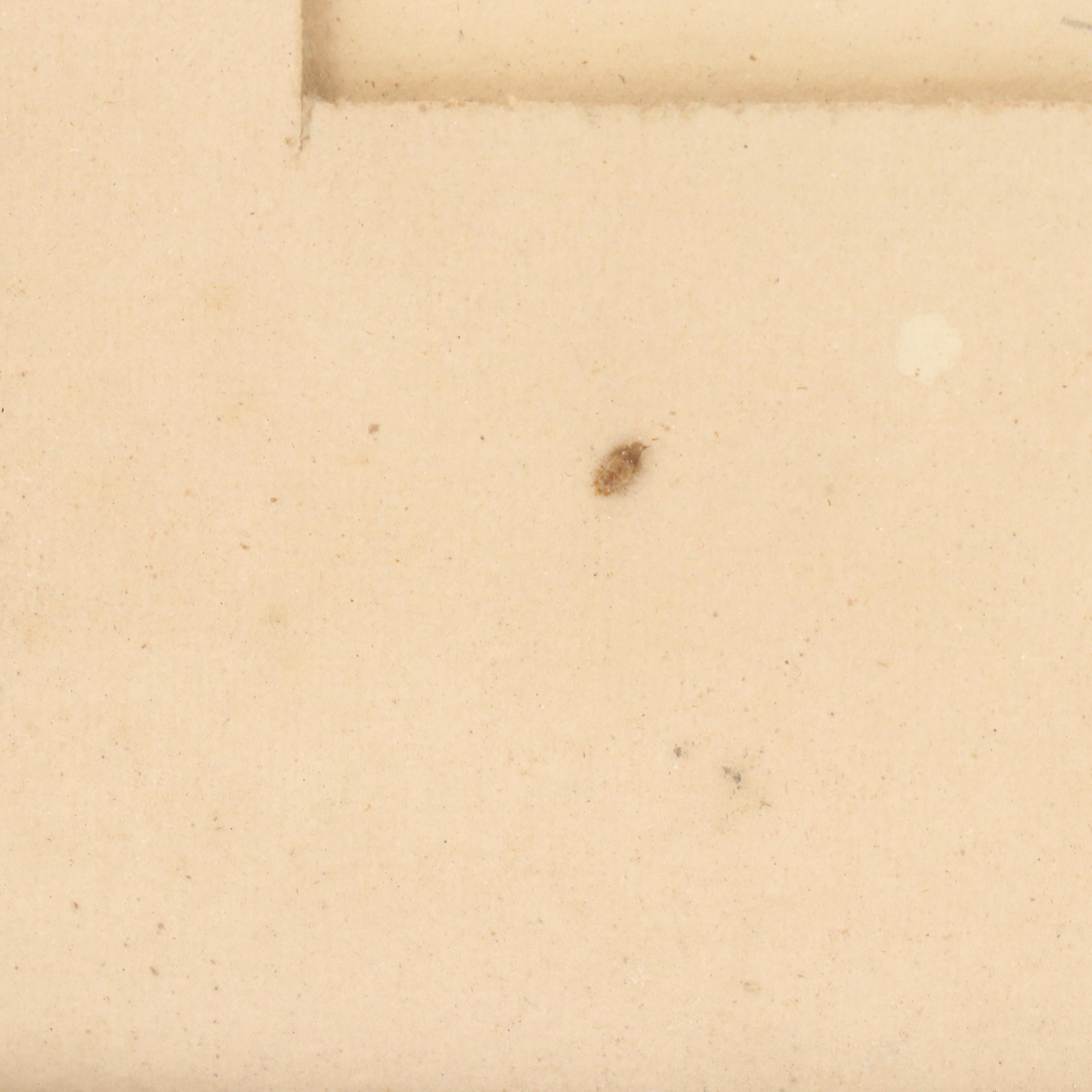 Jerold Rosenblum Etching With Aquatint "Spring in the X-Yard," 1962