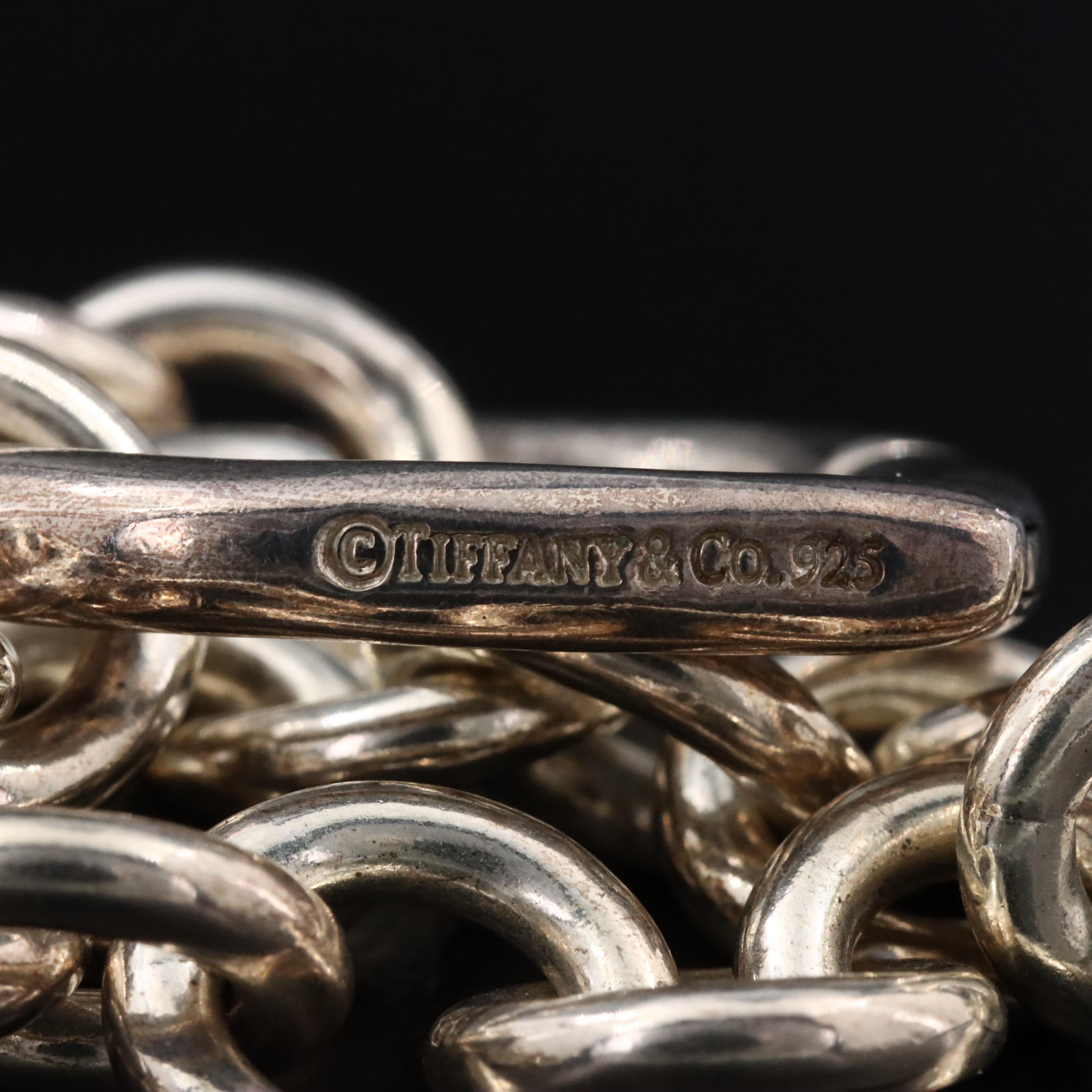 Tiffany & Co. Sterling Heart Clasp Necklace