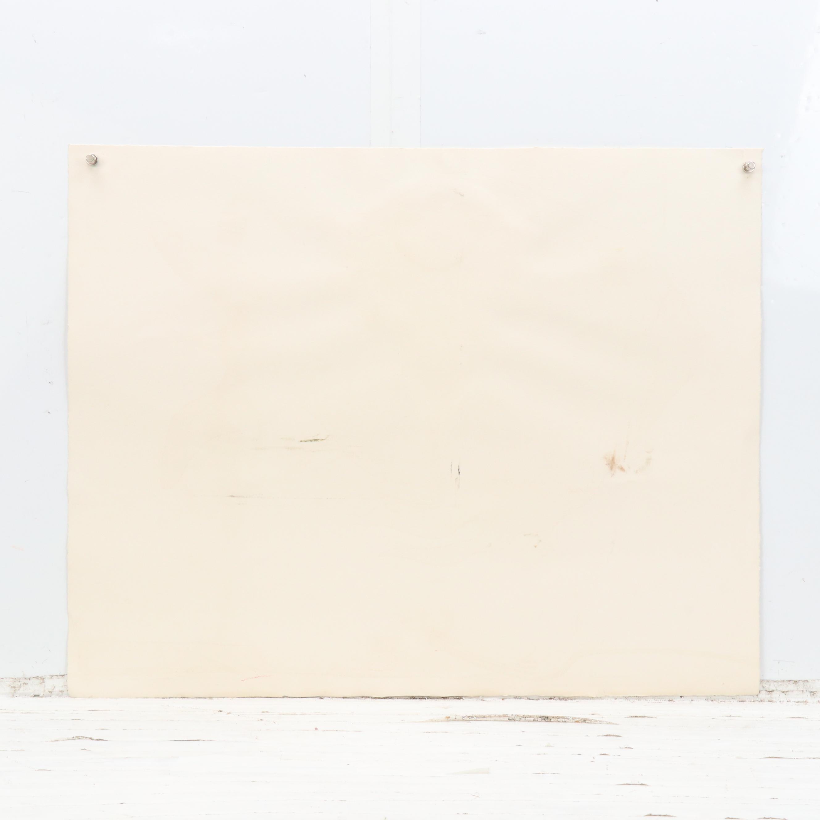 W. A. S. Hatch Mixed Technique Composition of Cats, 1988