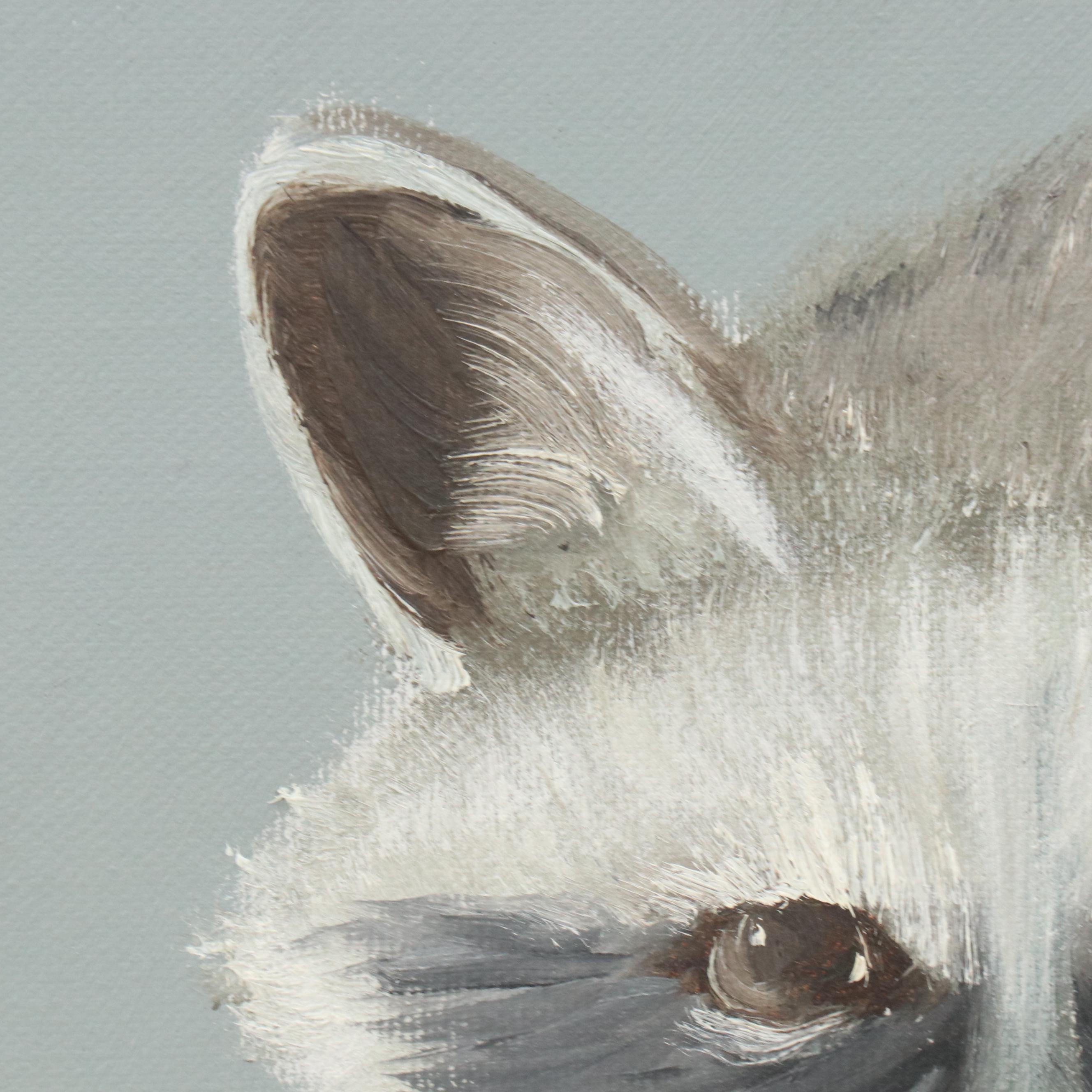 Acrylic Painting of Raccoon