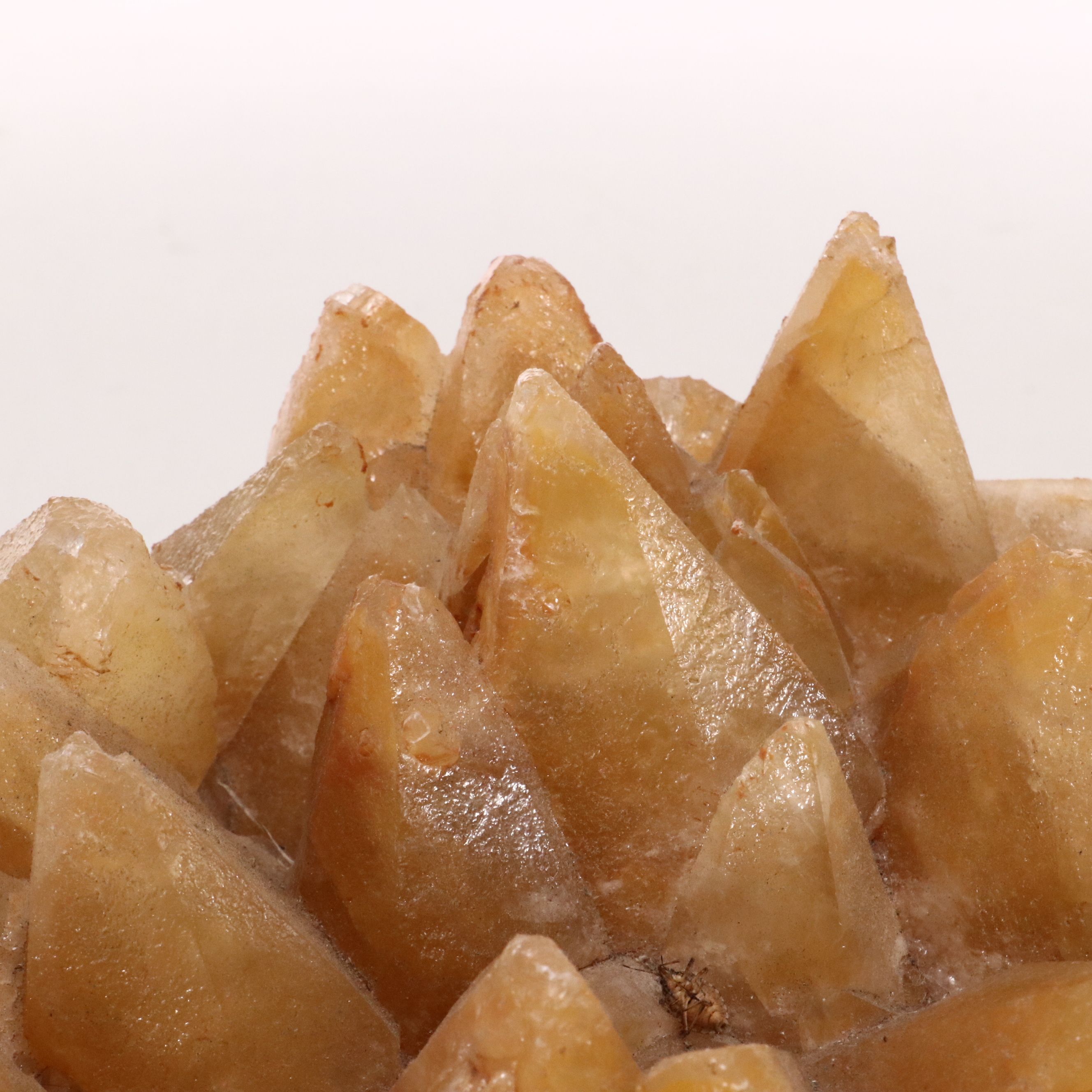 Orange Dogtooth Calcite Specimen